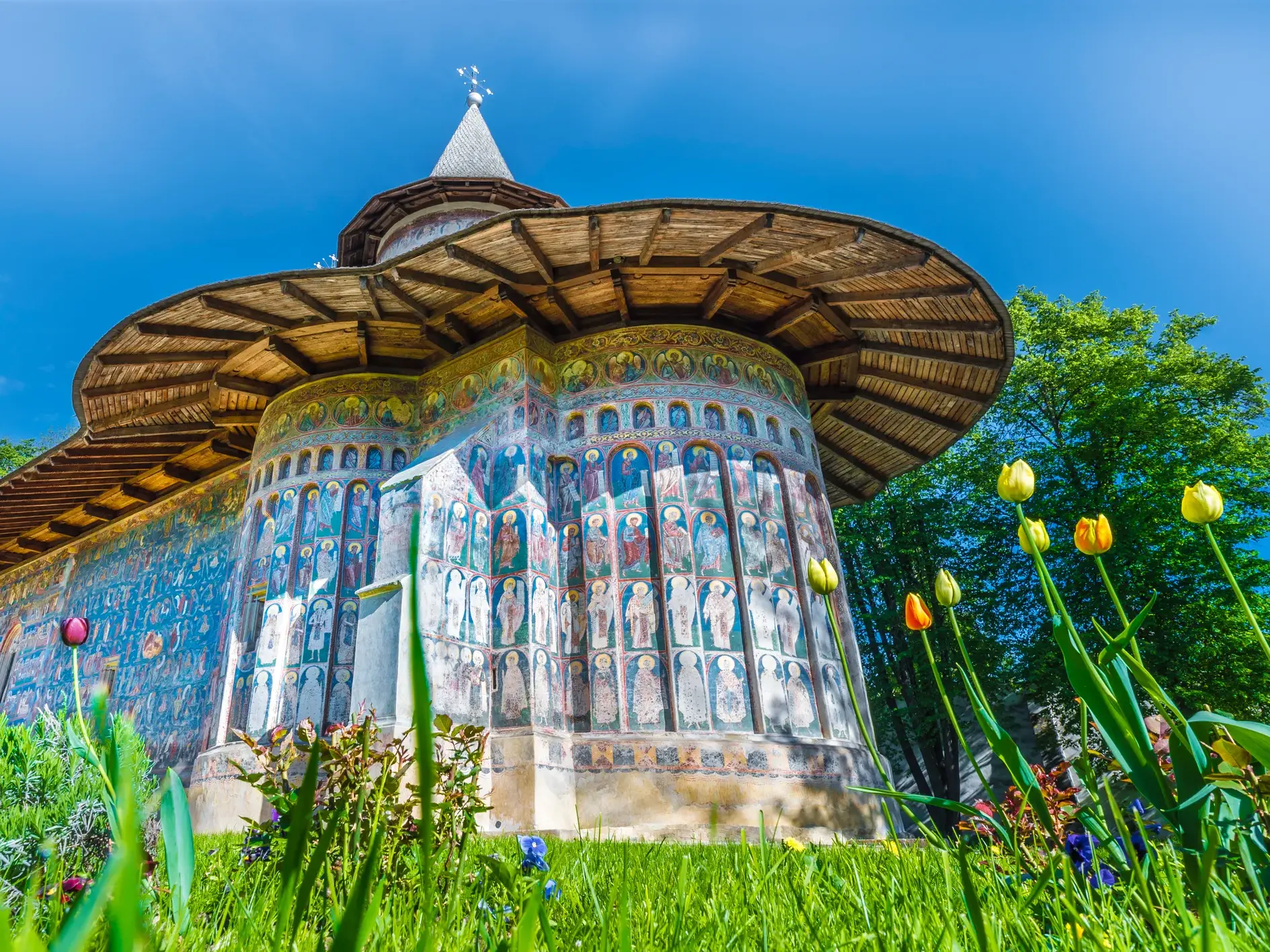 Farbenprächtige Außenfresken des Kloster Voronet in der Bukowina, umgeben von einer Wiese mit Tulpen unter blauem Himmel.