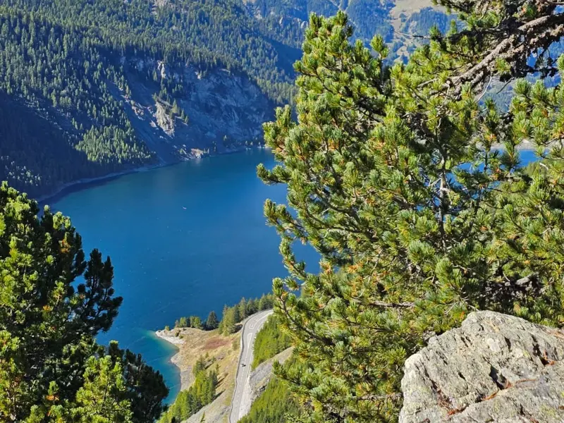 Aussicht von einem Wanderweg durch Pinien auf den tiefblauen Marmorerasee und die bewaldeten Berge in Graubünden.