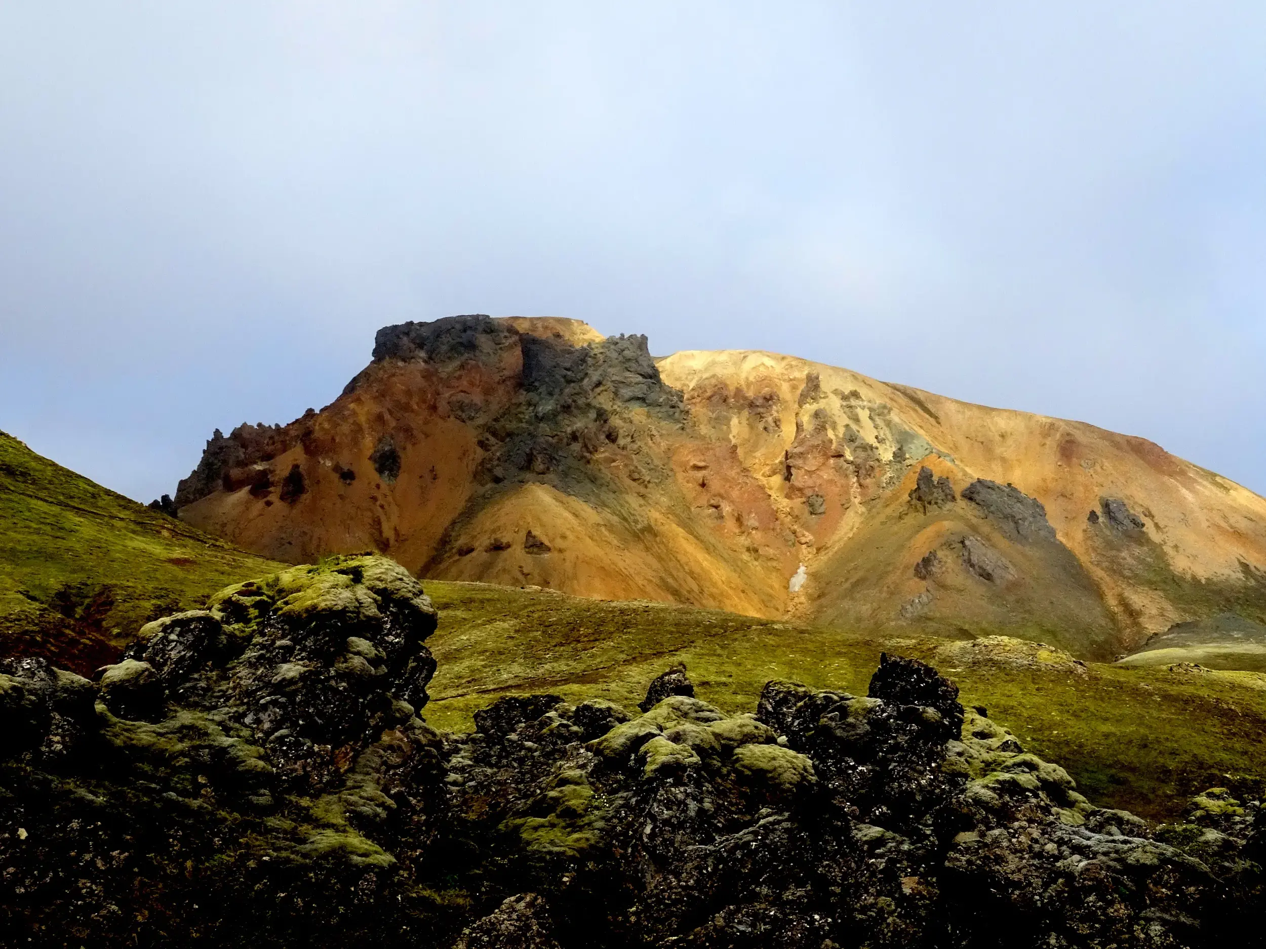 Moosbewachsene Lavafelsen im Vordergrund mit den bunten Rhyolithbergen von Landmannalaugar im isländischen Hochland.