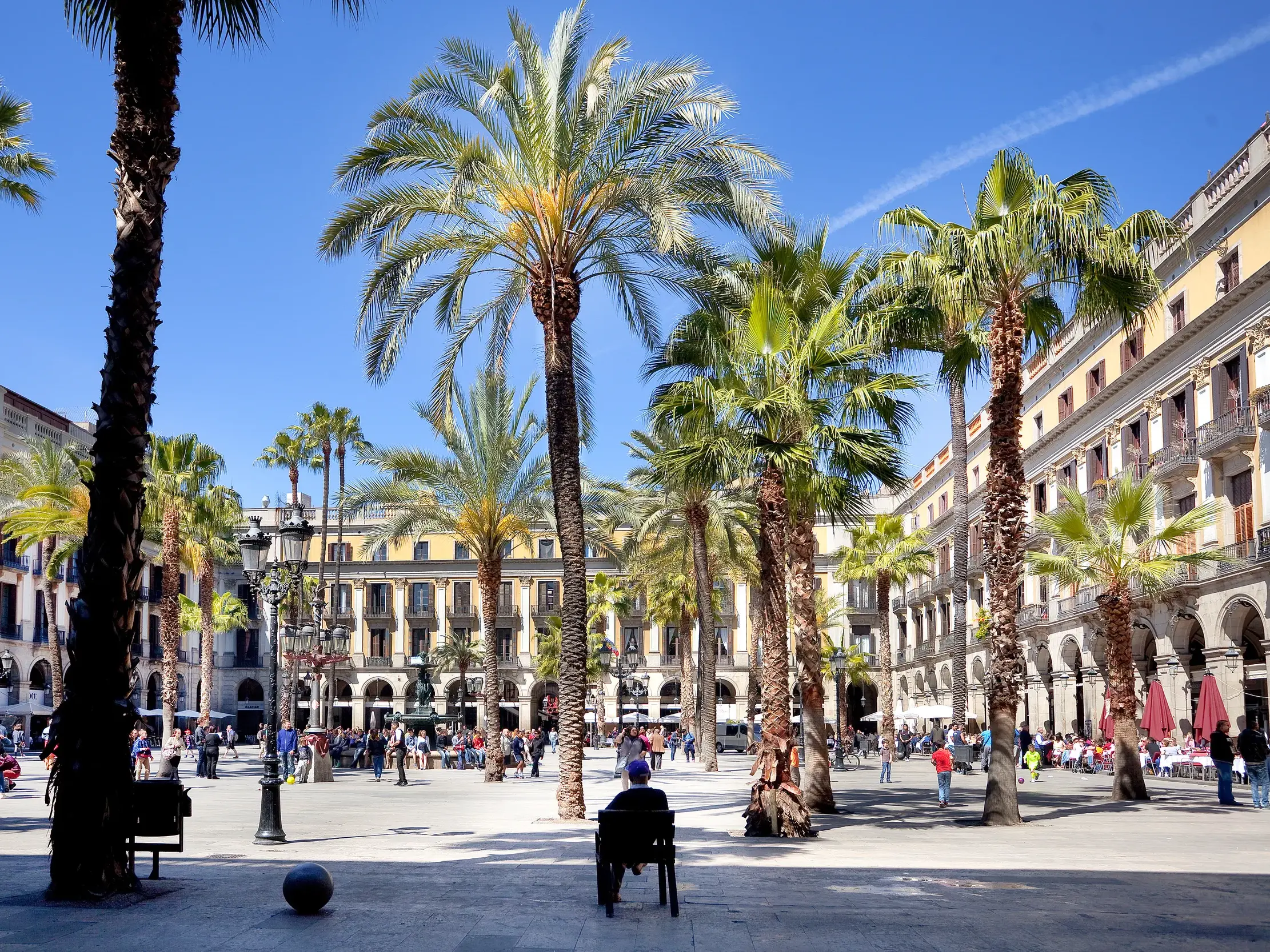 Sonniger Platz mit hohen Palmen im Gotischen Viertel von Barcelona, umgeben von historischen Gebäuden und Arkadengängen.