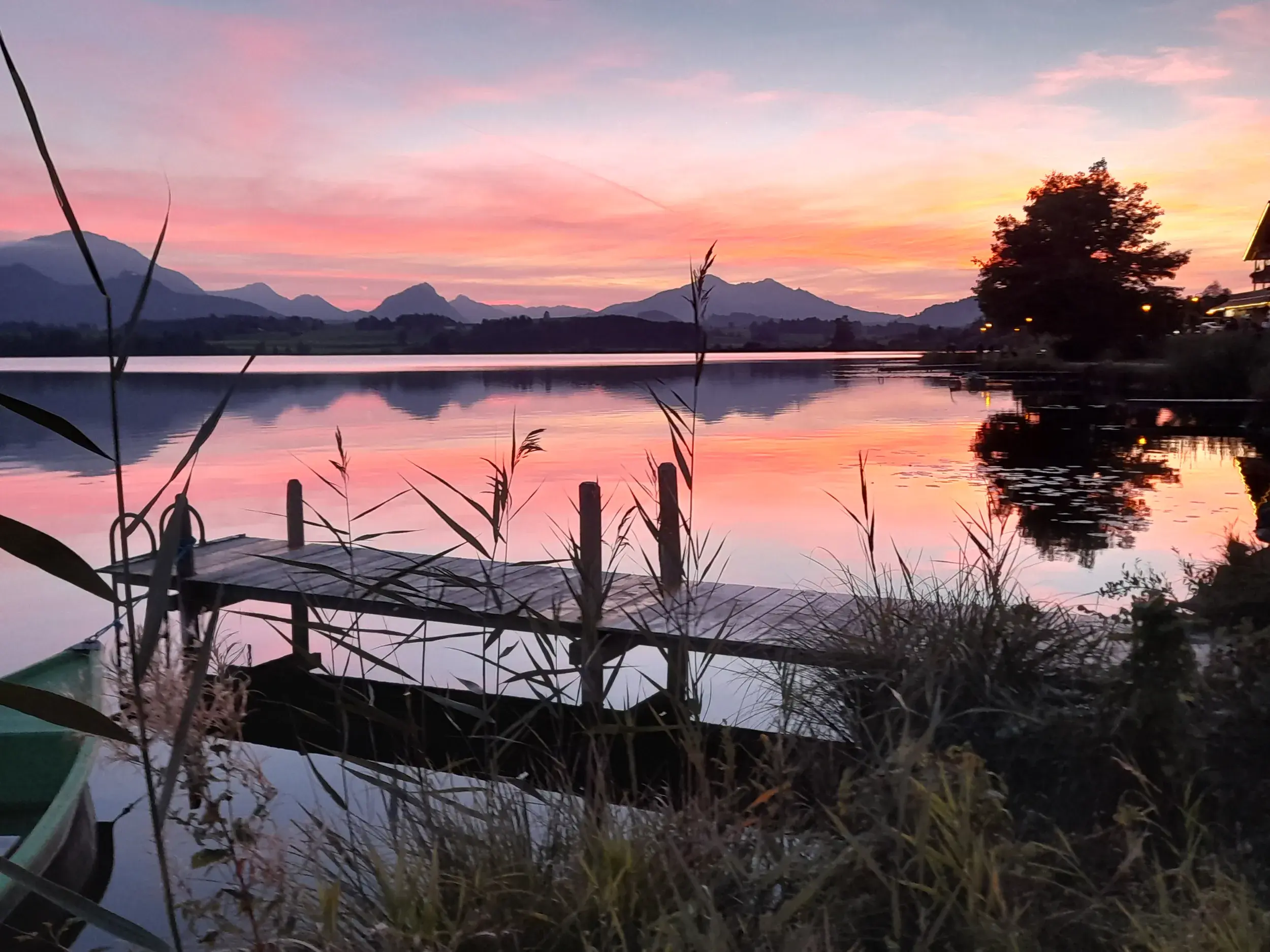 Ein Holzsteg führt in den Hopfensee, in dem sich der pinke Himmel beim Sonnenuntergang vor der Alpenkulisse spiegelt.