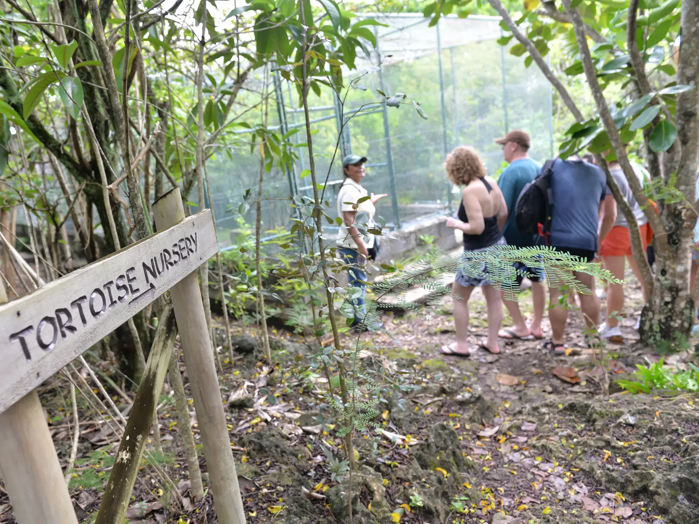 Eine Reiseleiterin erklärt einer Hauser Reisegruppe die Aufzuchtstation für Riesenschildkröten im François-Leguat-Reservat auf Rodrigues.