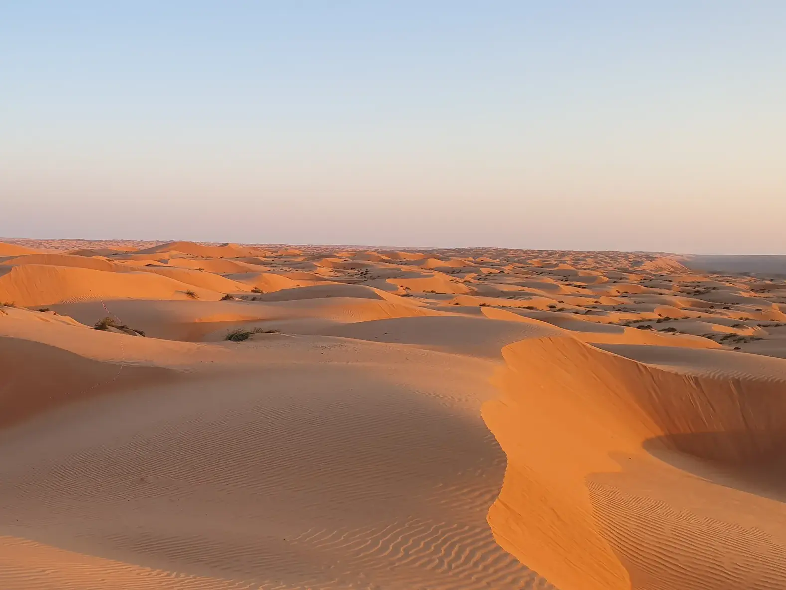 Endlose, goldene Dünenlandschaft der Rub Al-Khali Wüste im Oman im sanften Licht der untergehenden Sonne.