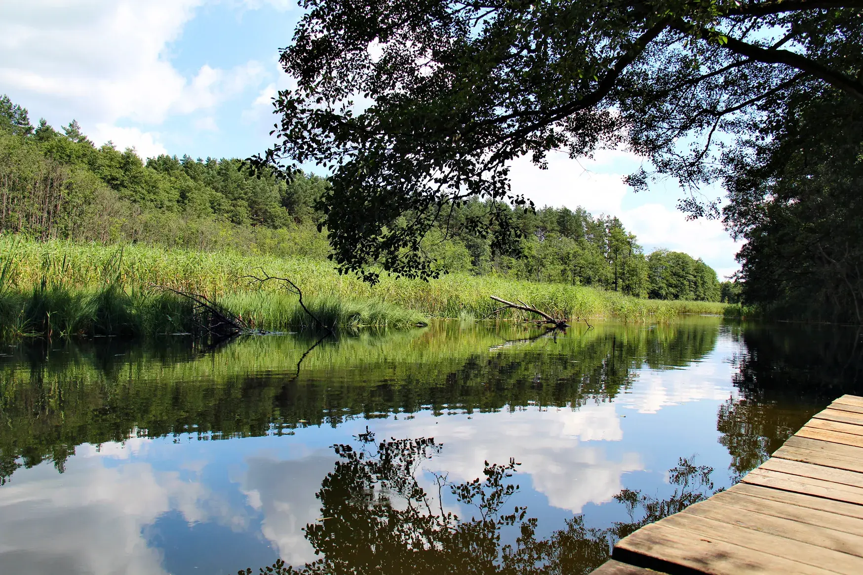 Holzsteg am ruhigen Krutynia-Fluss in Masuren, dessen Wasser den blauen Himmel und das dicht bewachsene Ufer reflektiert.