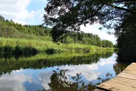 Holzsteg am ruhigen Krutynia-Fluss in Masuren, dessen Wasser den blauen Himmel und das dicht bewachsene Ufer reflektiert.