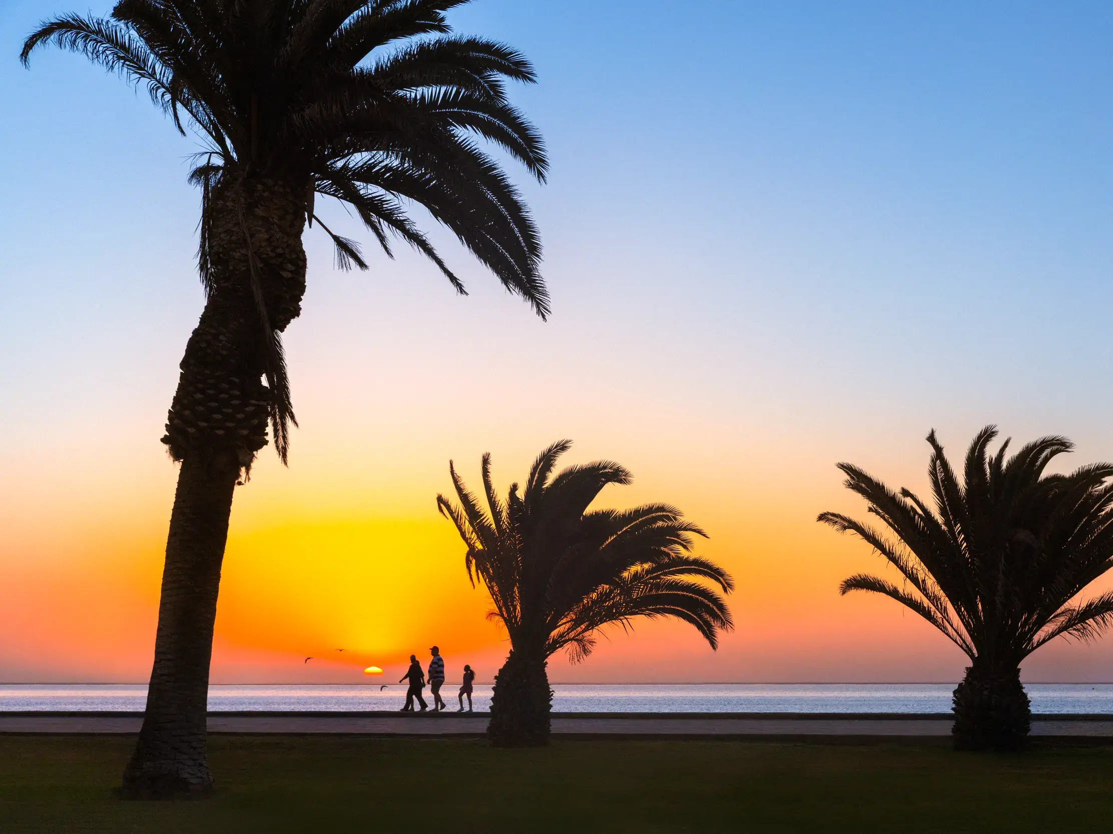 Silhouetten von Palmen und Spaziergängern an der Küste von Swakopmund während des farbenprächtigen Sonnenuntergangs am Atlantik.