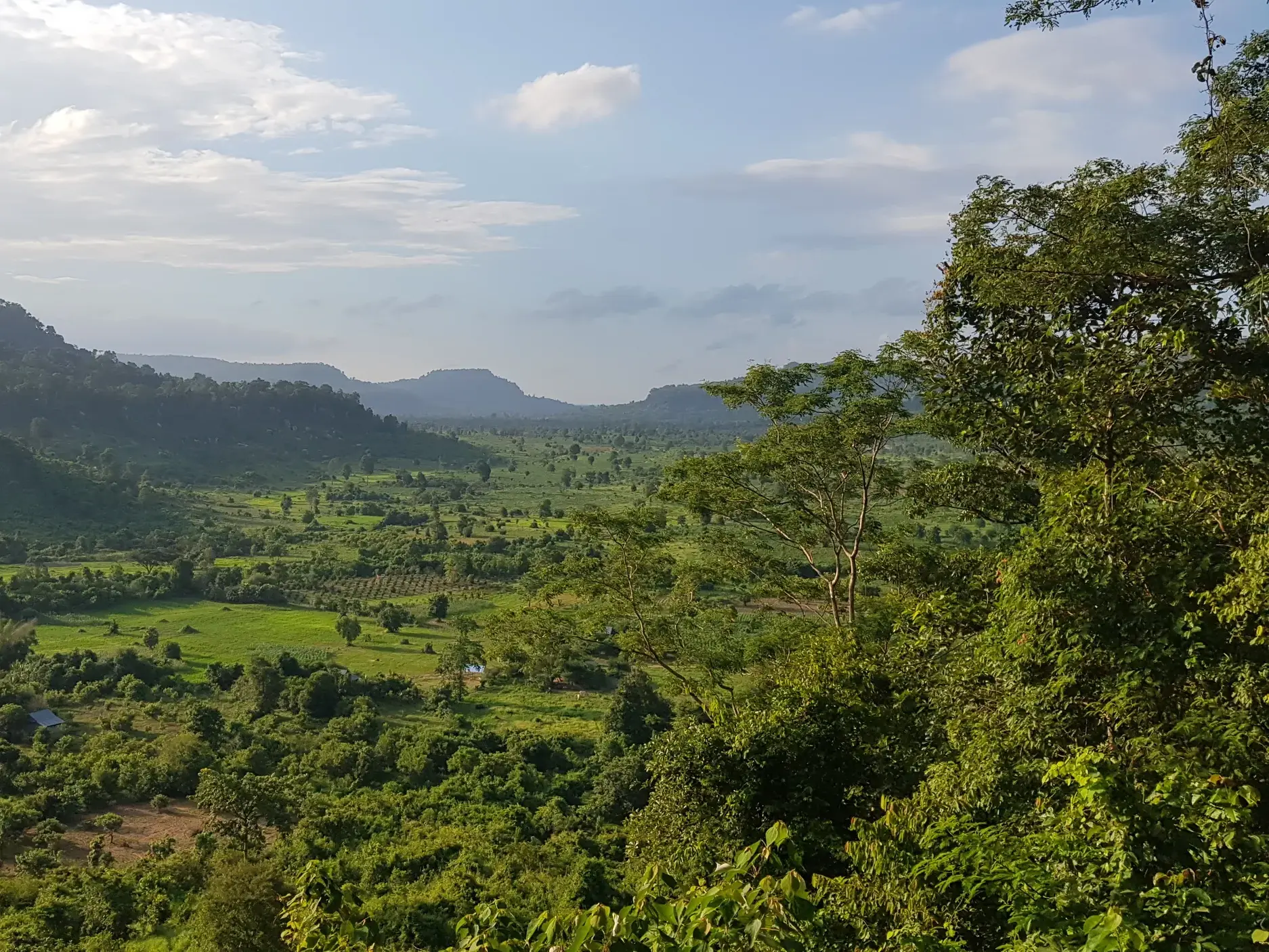 Panoramablick vom Sam Berg auf die üppig grüne Landschaft des Mekongdeltas mit dichten Wäldern und sanften Hügeln in Vietnam.