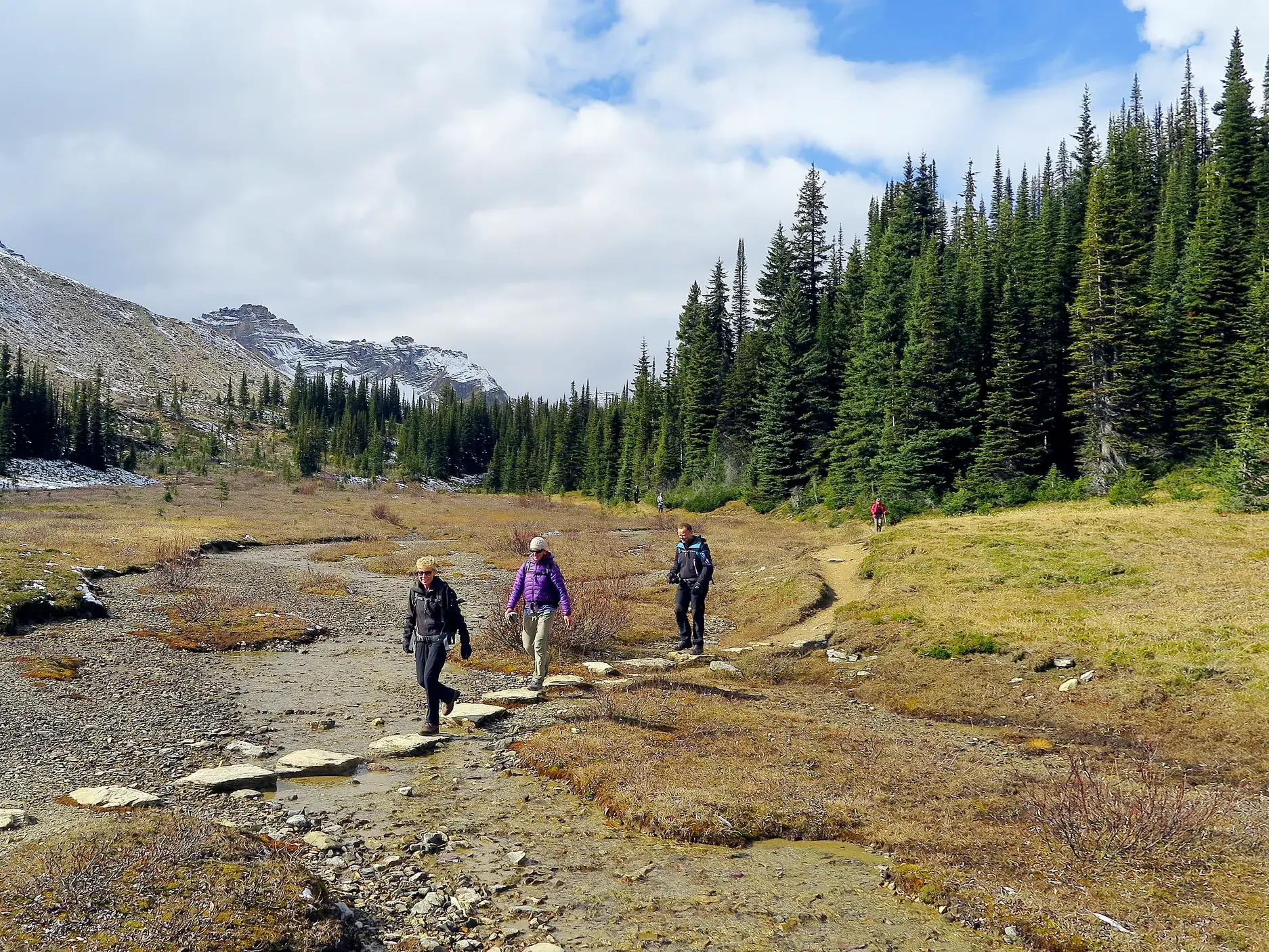 Eine kleine Reisegruppe wandert auf Trittsteinen durch ein weites Tal im Yoho-Nationalpark in den kanadischen Rockies.