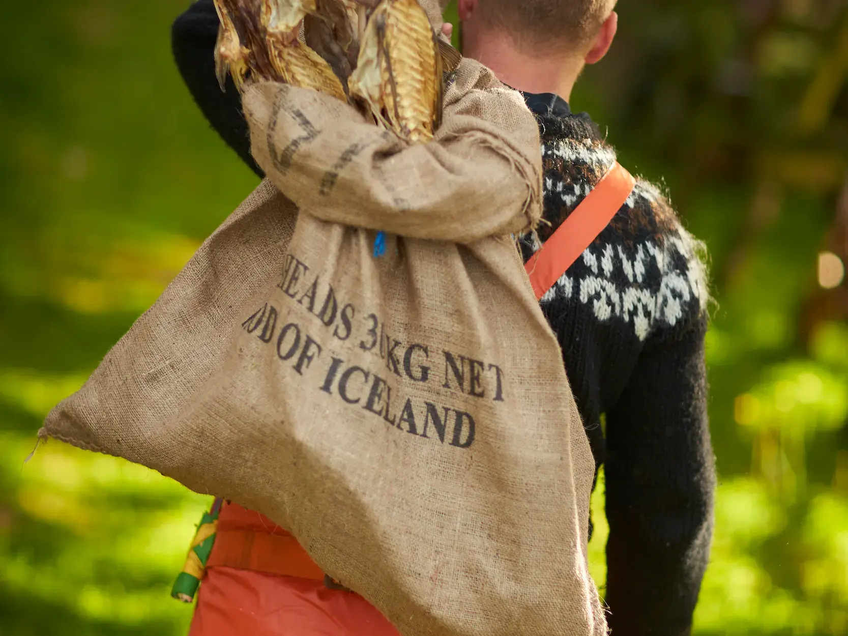 Ein Mann im traditionellen Islandpullover trägt einen Jutesack mit getrockneten Fischköpfen auf dem Rücken.