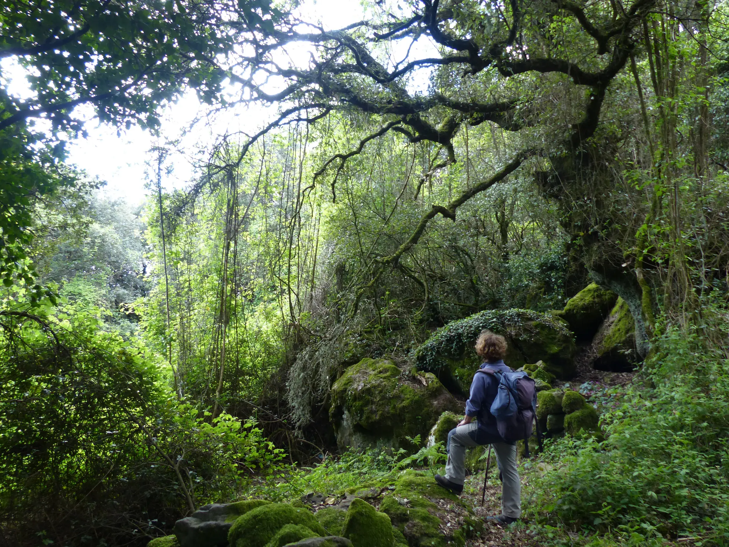 Eine Wanderin mit Rucksack pausiert auf einem moosbewachsenen Pfad im dichten, urwüchsigen Wald des Montiferru-Gebiets auf Sardinien.