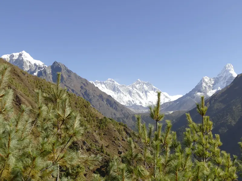 Weitsicht beim Trekking in Nepal: Grüne Baumwipfel im Vordergrund, dahinter die Eisriesen Mount Everest und Ama Dablam.