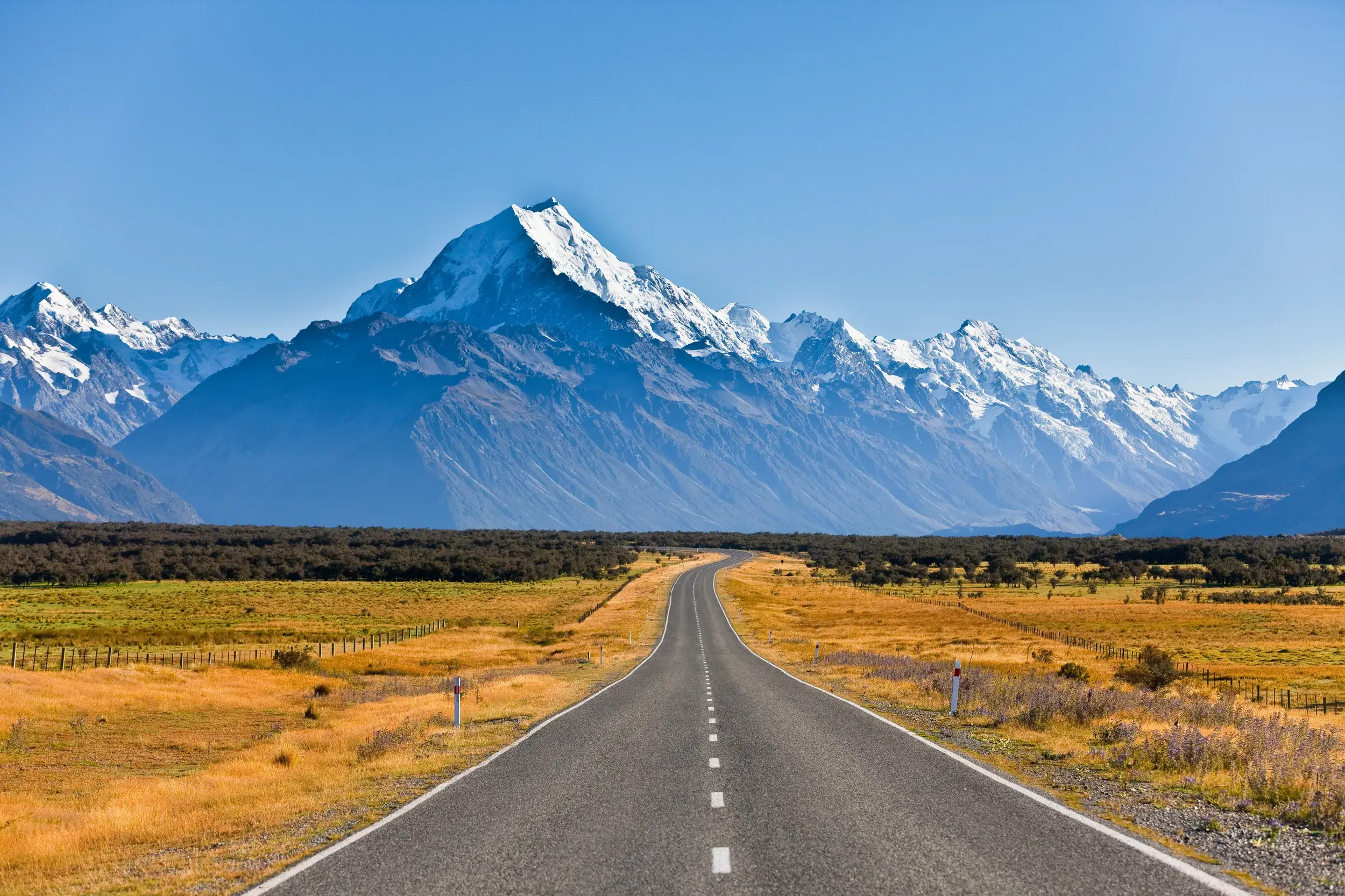 Eine leere Asphaltstraße führt durch goldenes Grasland auf den majestätischen, schneebedeckten Aoraki / Mount Cook zu.