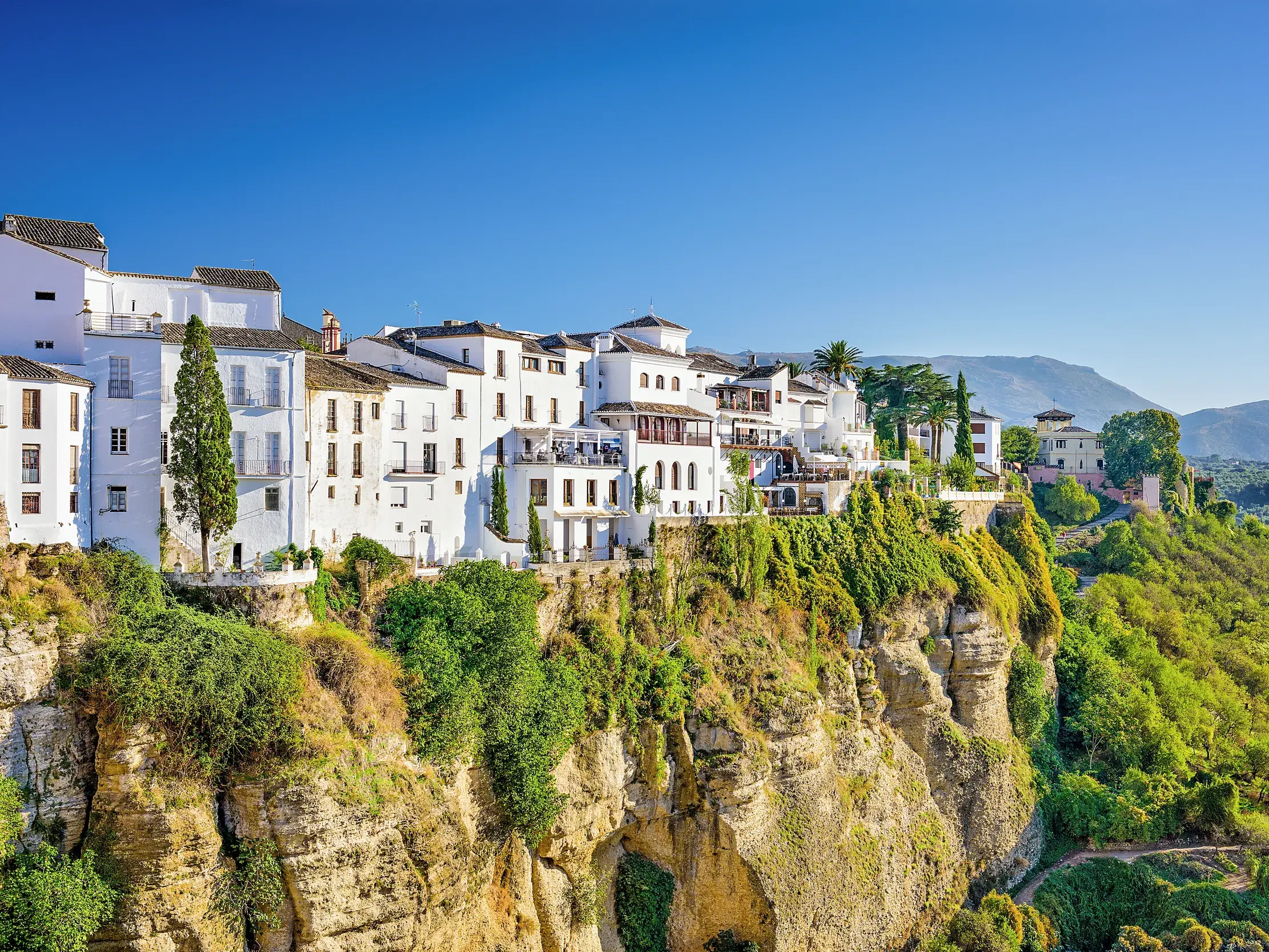 Die fotogenen weißen Häuser von Ronda thronen auf einem steilen Felsplateau, umgeben von grüner Vegetation in Andalusien.