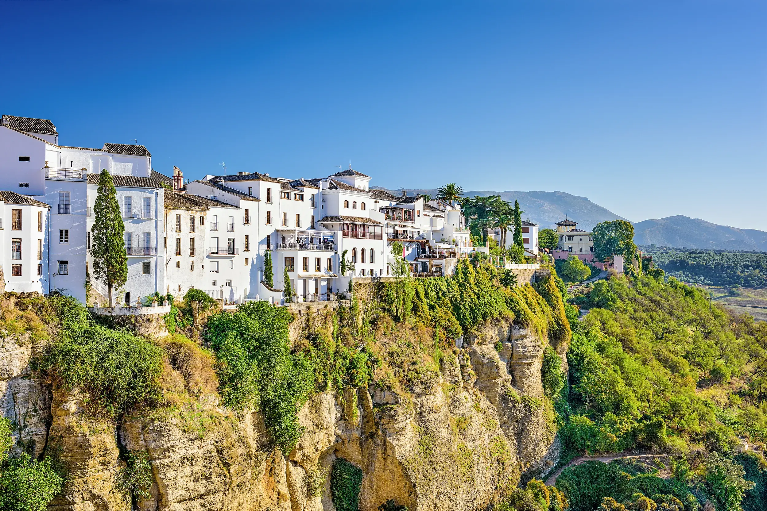 Spektakuläre Aussicht auf die weißen Häuser von Ronda, die auf einem von Grün bewachsenen Felsplateau in Andalusien thronen.