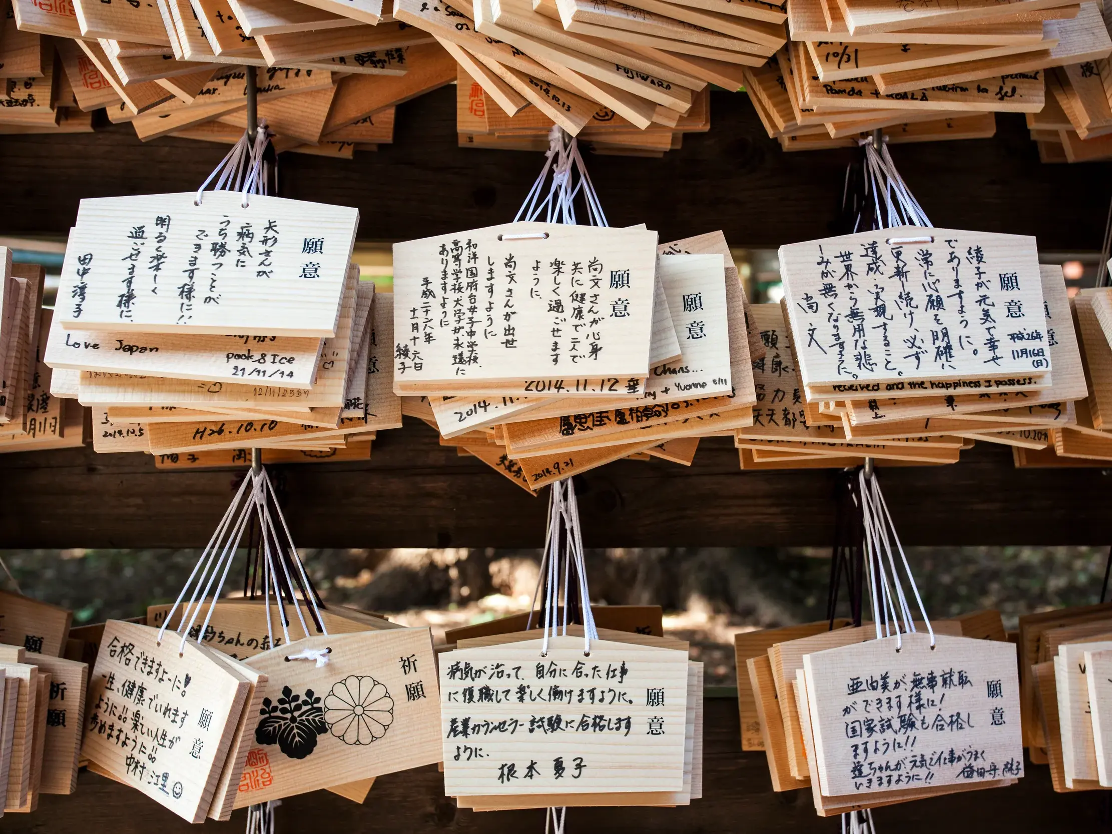 Hölzerne Ema-Wunschtafeln mit Gebeten und Wünschen von Besuchern hängen dicht gedrängt an einem japanischen Shinto-Schrein.