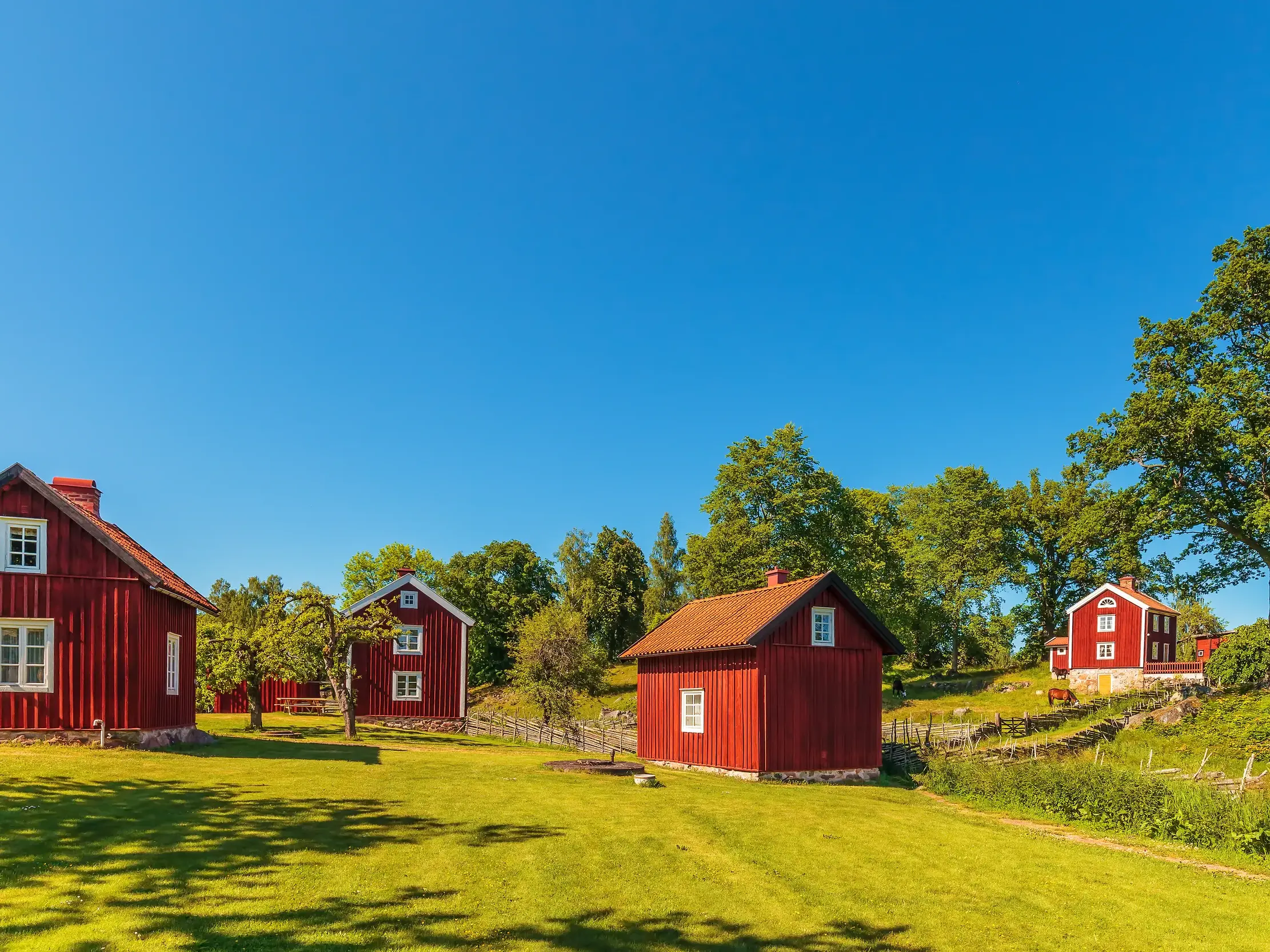 Idyllische rote Holzhäuser auf einer grünen Wiese in der Region Smaland in Schweden, umgeben von Bäumen unter blauem Himmel.