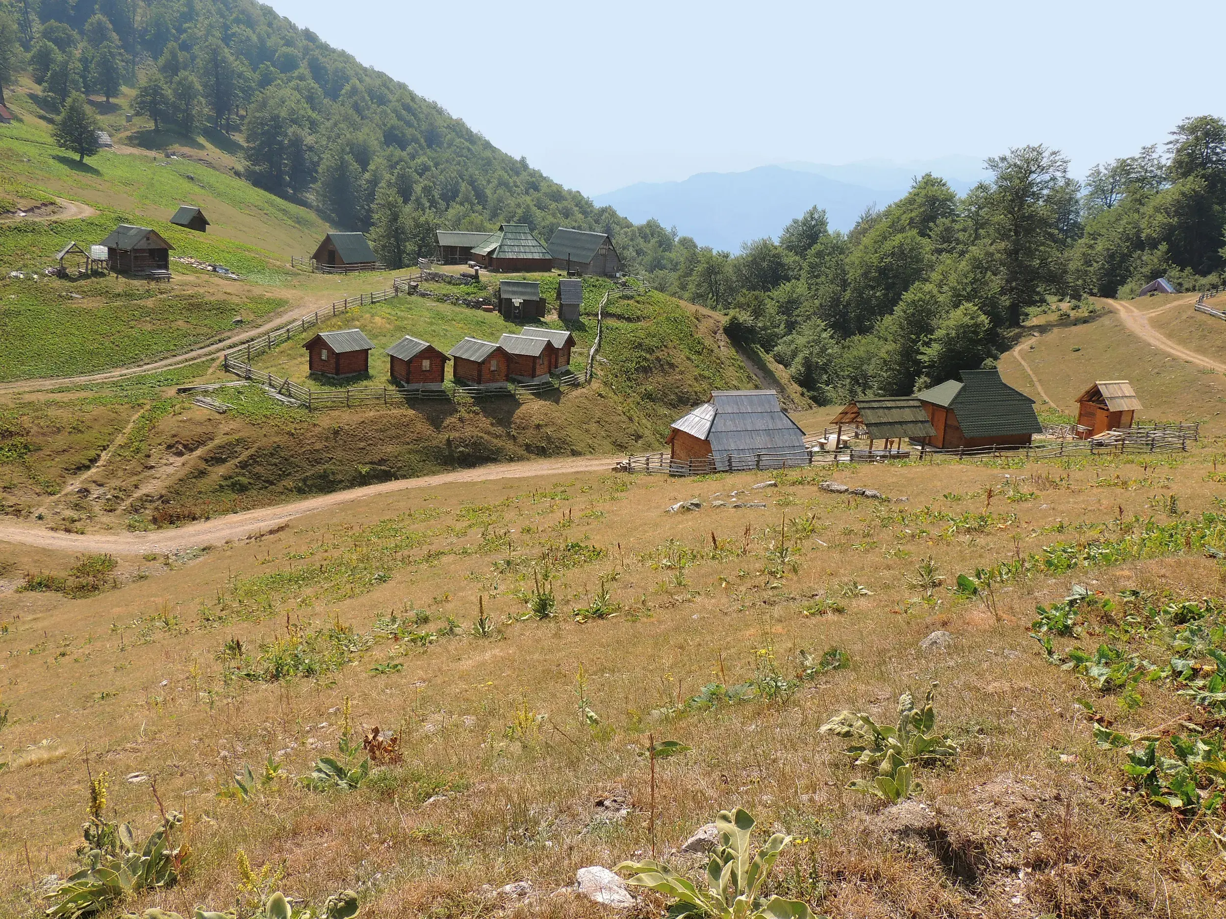 Traditionelle Almhütten eines Bergbauernhofs in den grünen Weiten des Bjelasica-Gebirges während einer Wanderreise in Montenegro.