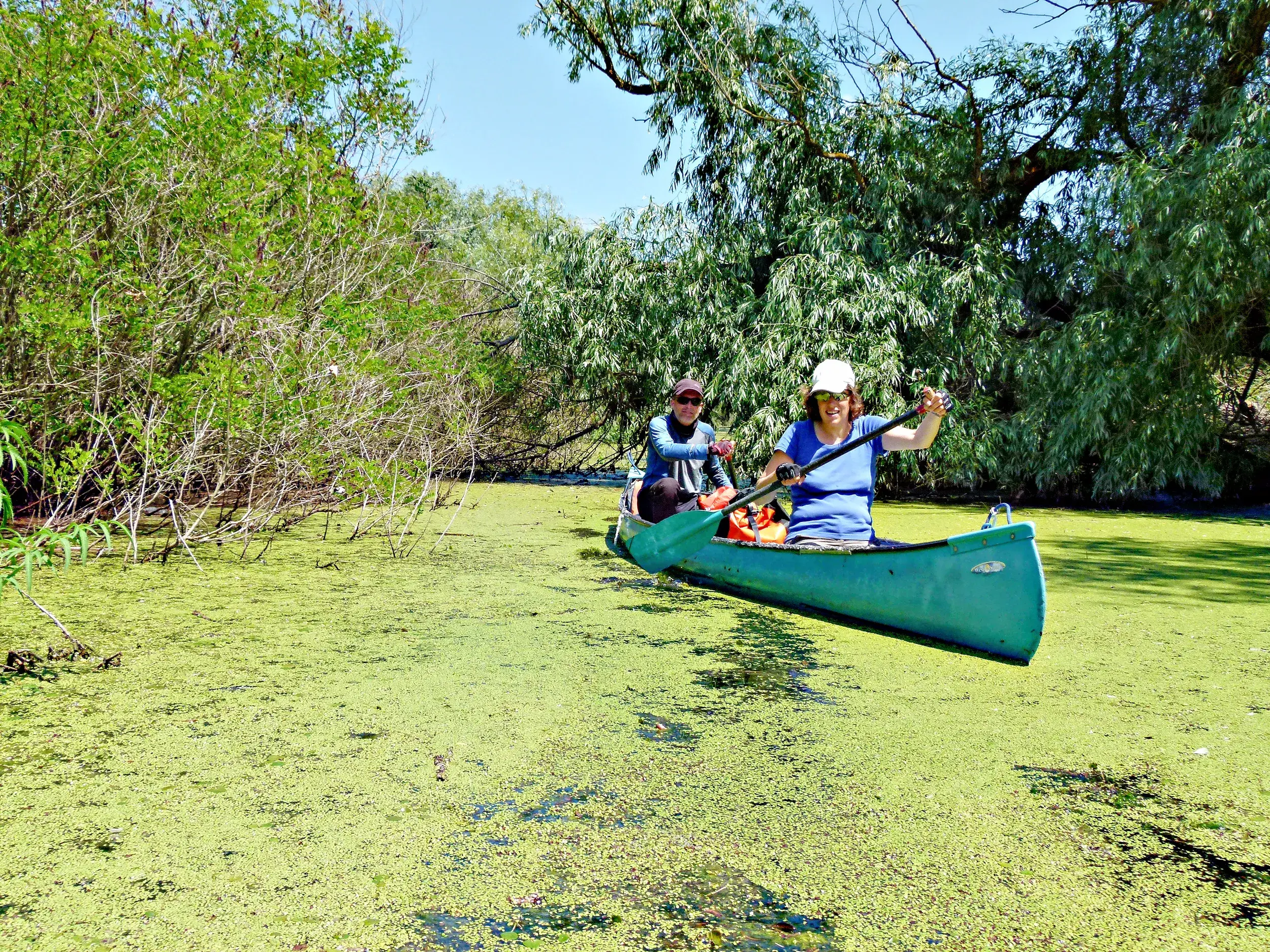 Zwei Frauen paddeln bei Sonnenschein im Kanu durch einen mit Wasserlinsen bedeckten Kanal des UNESCO-Biosphärenreservats Donaudelta.