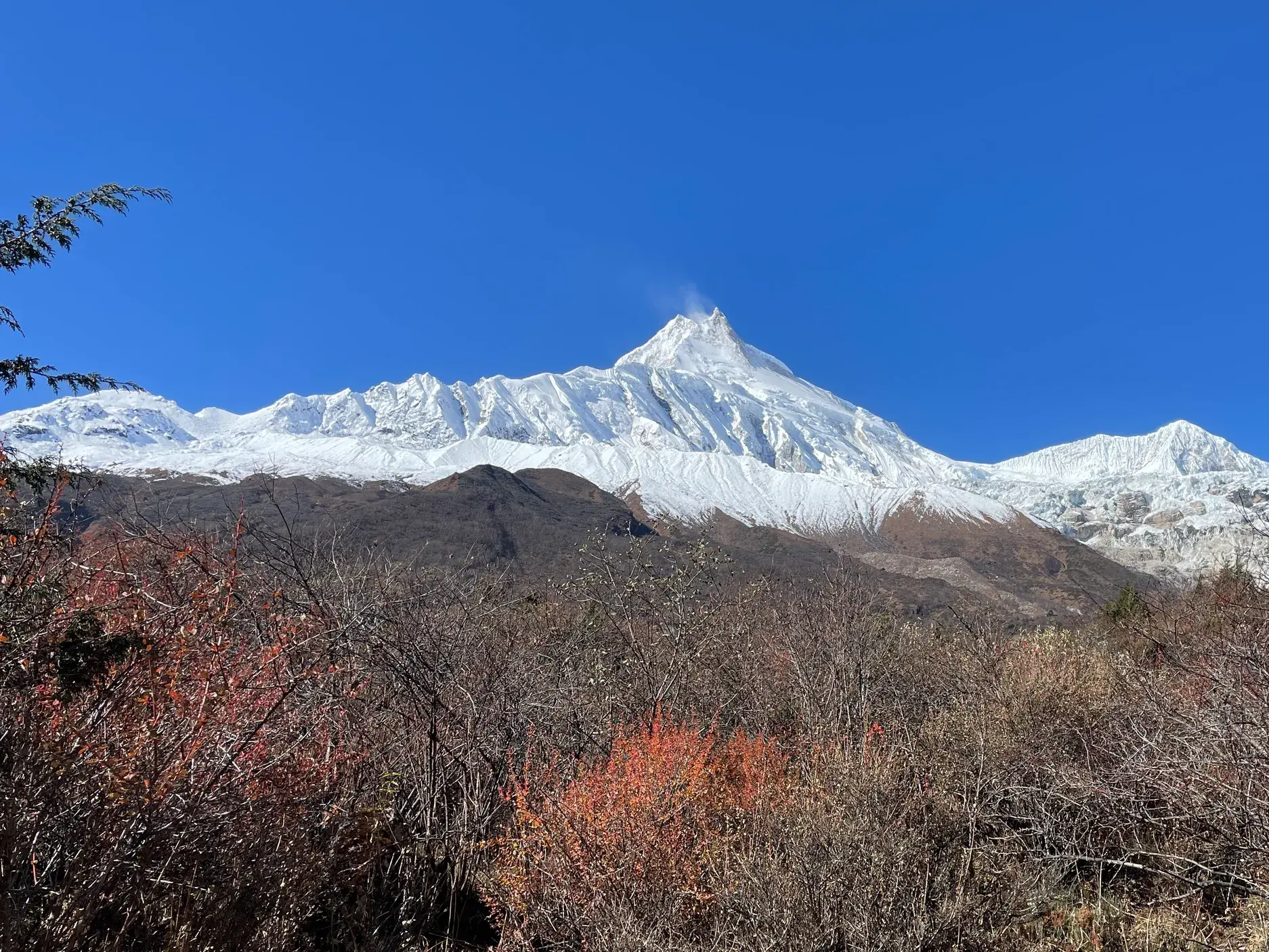 Majestätischer Manaslu-Gipfel mit Schneekappe unter klarem Himmel, im Vordergrund herbstliche Sträucher in Nepal.