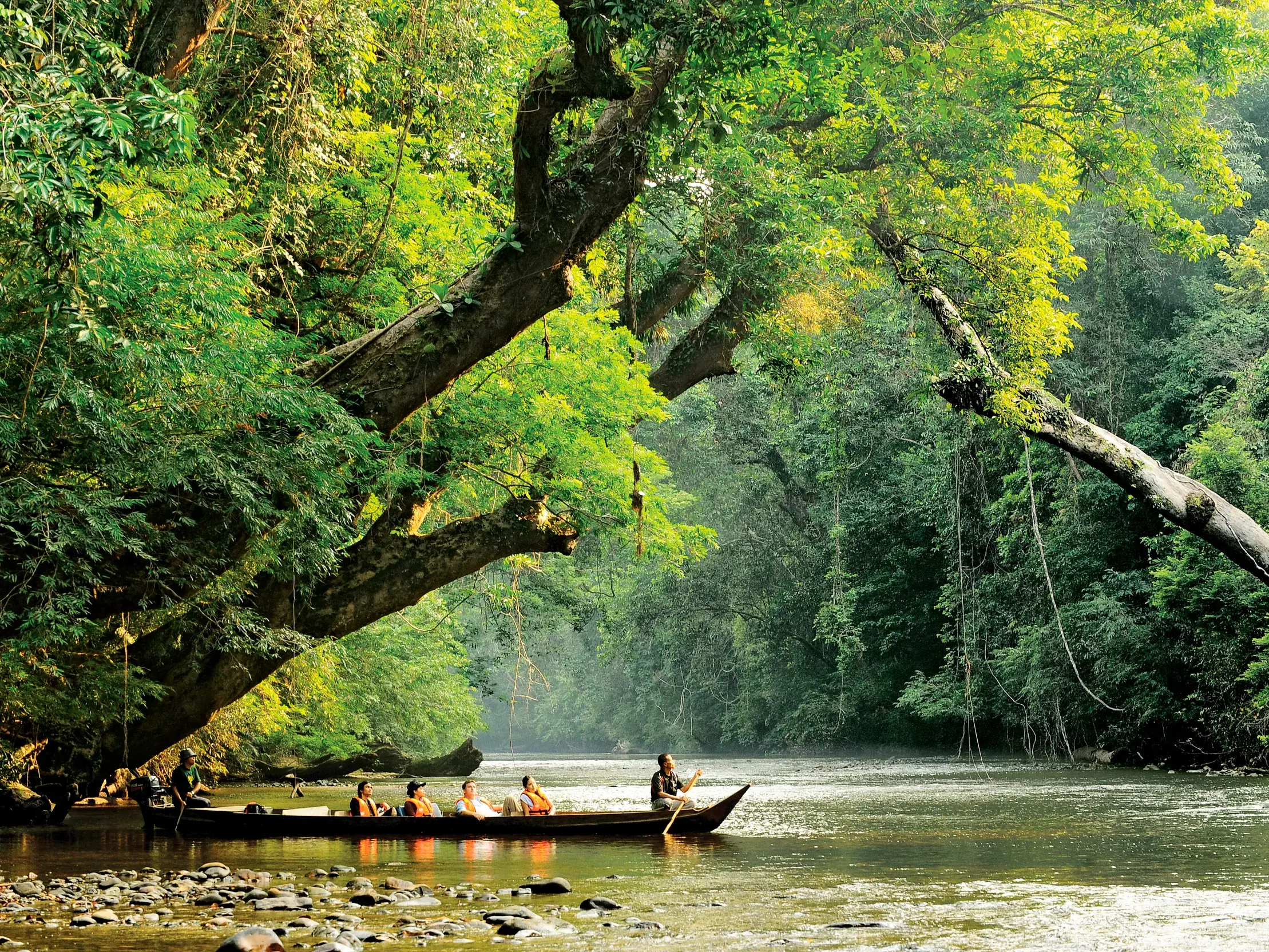 Eine kleine Reisegruppe auf einer geführten Bootsfahrt durch den üppigen Regenwald des Taman-Negara-Nationalparks in Malaysia.