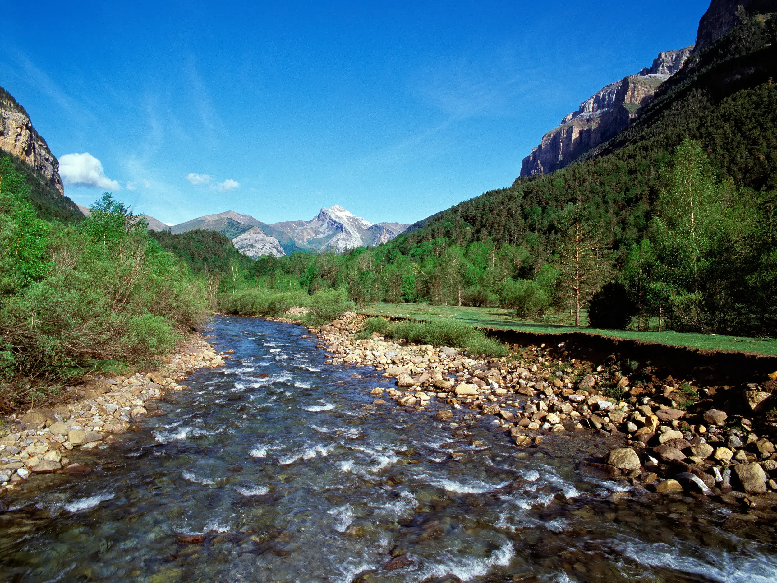 Klarer Bergfluss Río Arazas im grünen Tal des Ordesa-Nationalparks, ein Höhepunkt der Wanderreise durch die Pyrenäen.