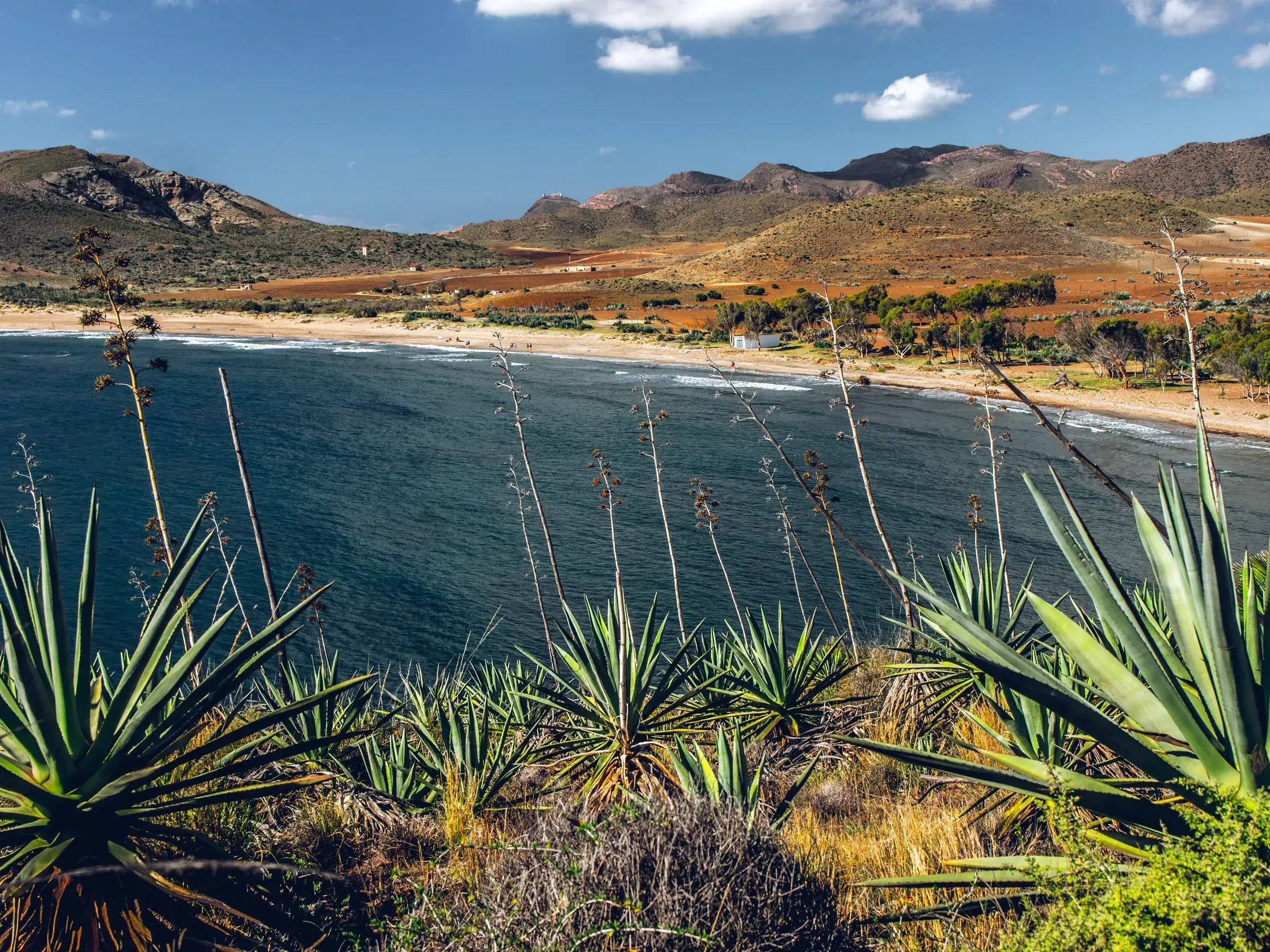 Wilde Küstenlandschaft mit Agaven im Naturpark Cabo de Gata, Blick auf eine Sandbucht und das Meer beim Wandern in Andalusien.