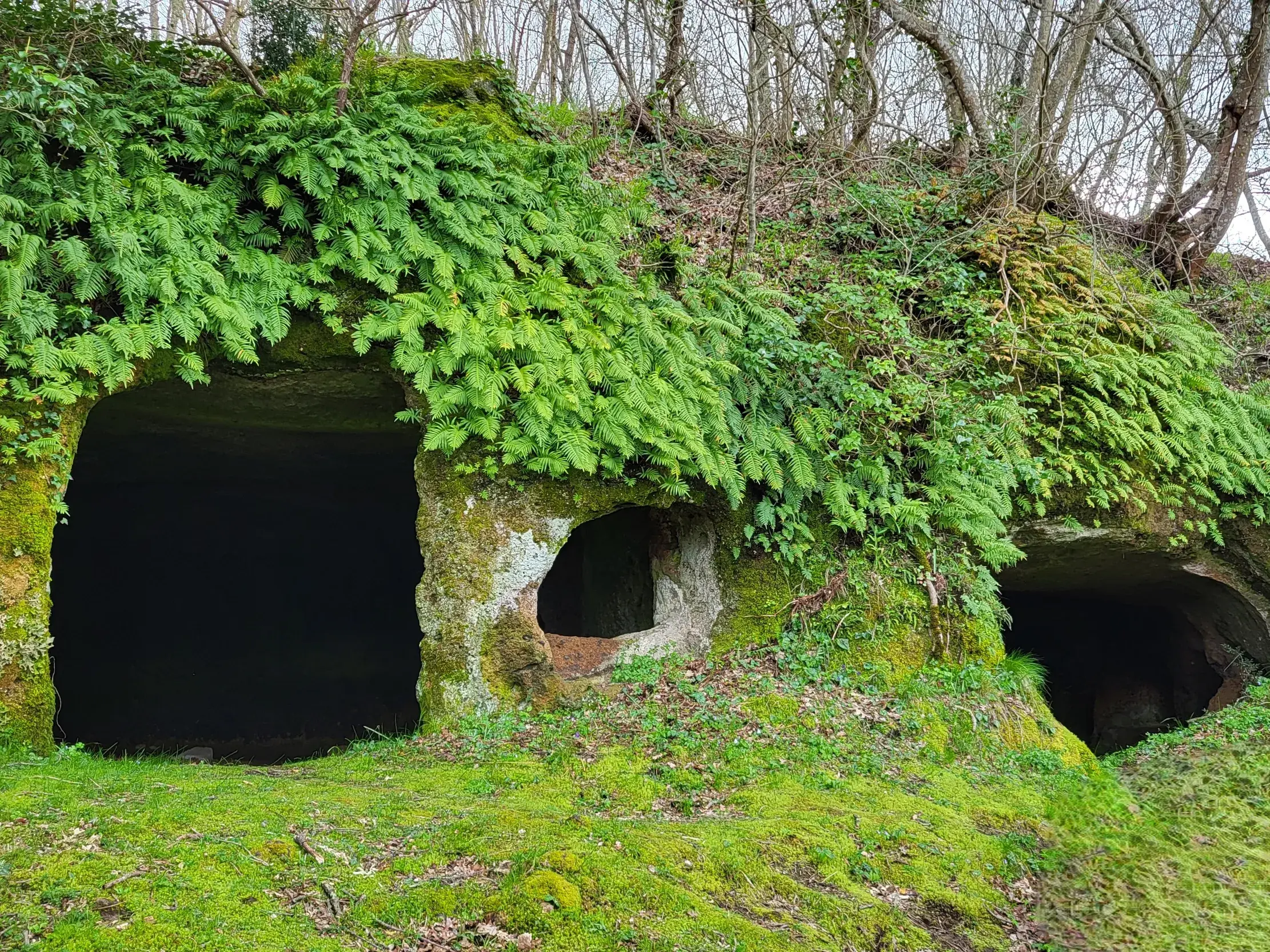 Verwunschene, etruskische Höhlengräber aus Tuffstein, bedeckt mit grünen Farnen auf einer Wanderung in der Toskana.