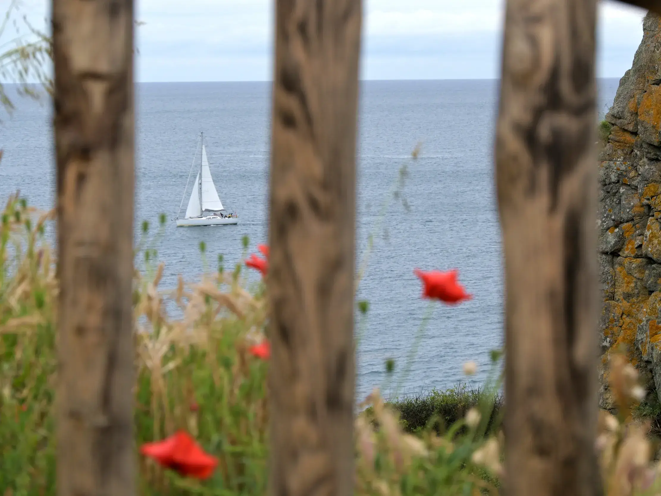 Blick durch einen Holzzaun auf ein weißes Segelboot vor der zerklüfteten Felsküste am Cap Fréhel in der Bretagne.