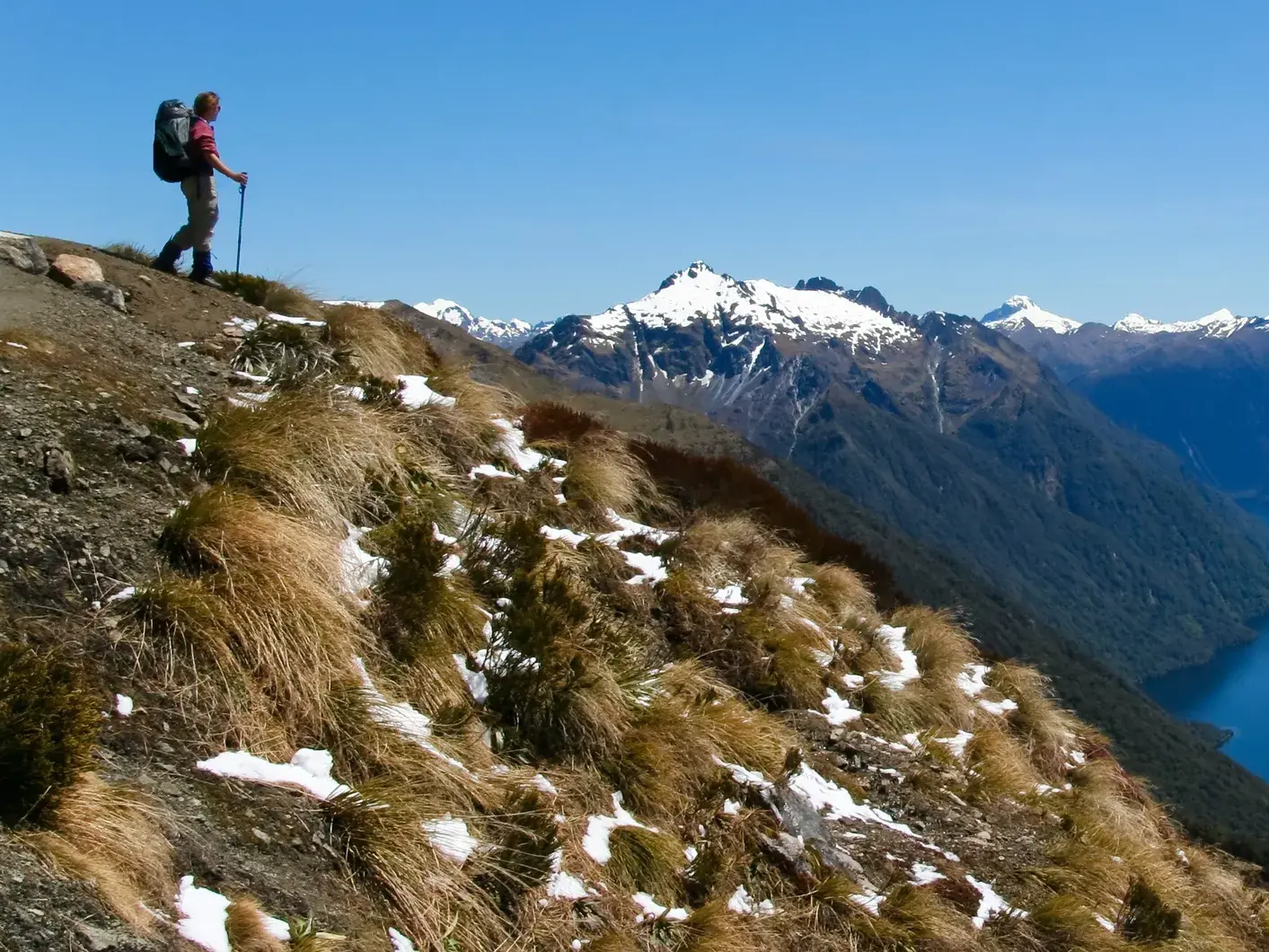 Ein Wanderer mit Trekkingrucksack pausiert auf dem Routeburn Track und blickt über die Berglandschaft des Fjordlands.
