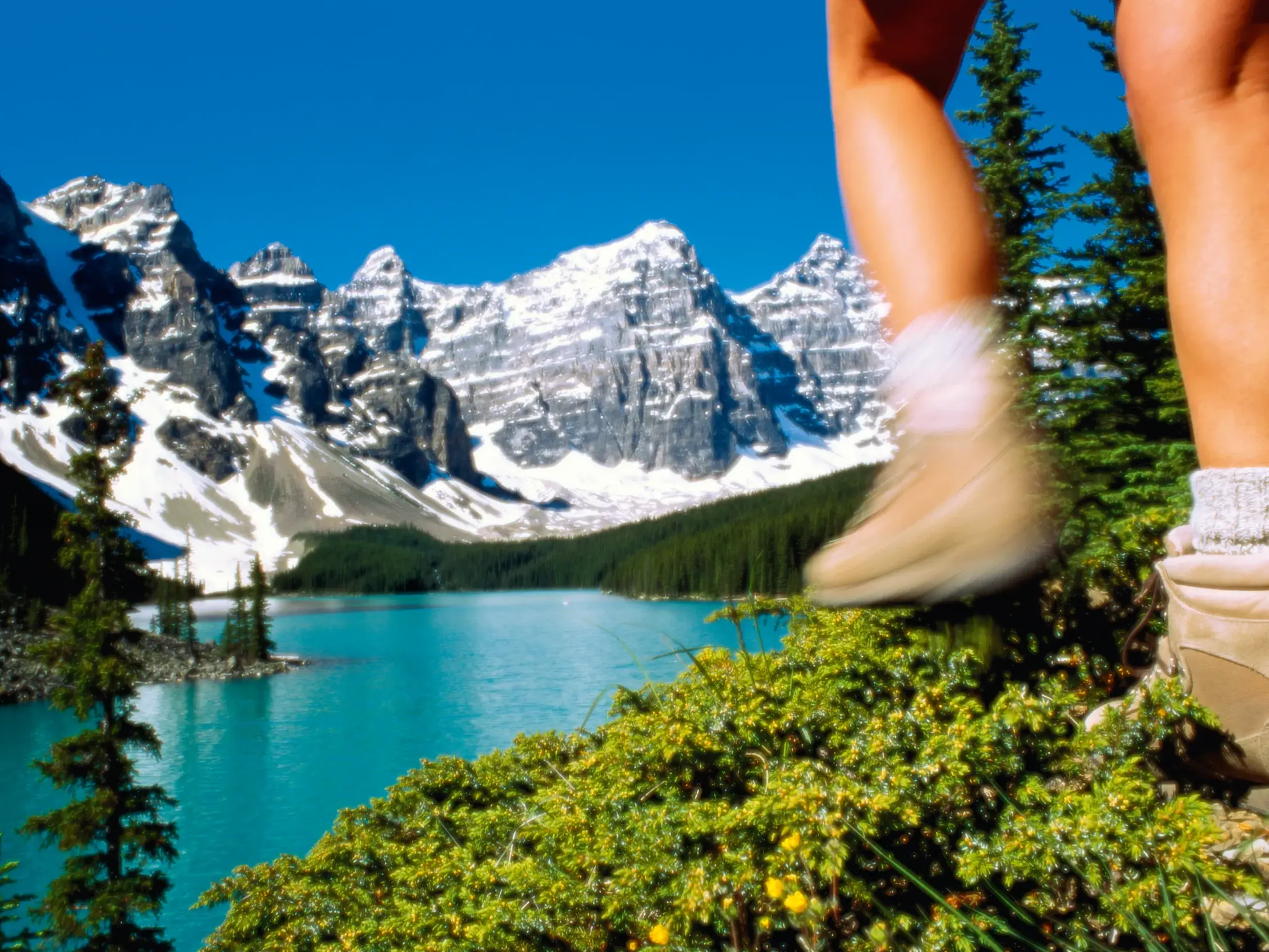 Wanderer in den Rocky Mountains genießt den Blick auf den leuchtend türkisen Moraine Lake im Banff-Nationalpark, Kanada.