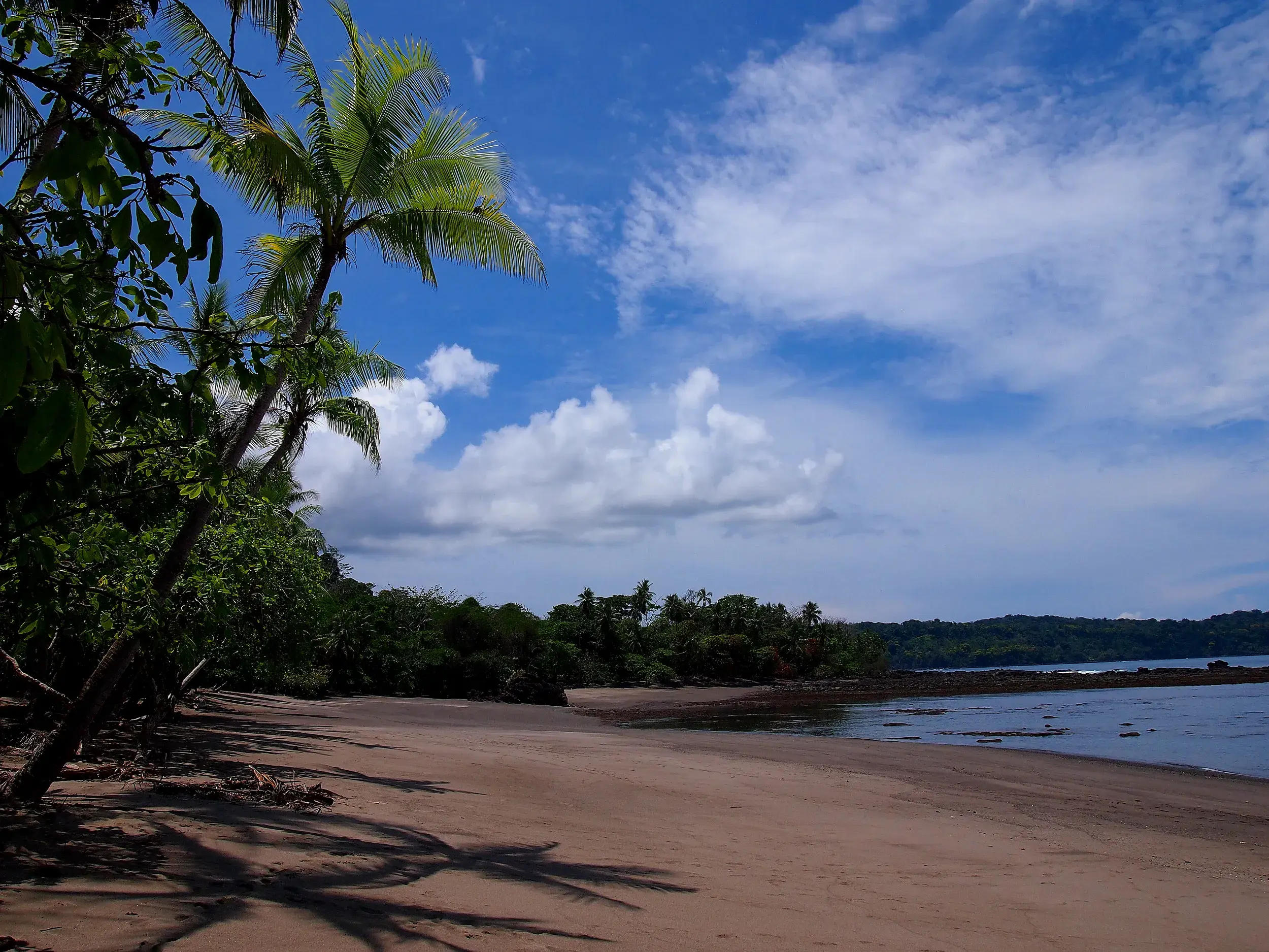 Unberührter Sandstrand am Corcovado-Nationalpark in Costa Rica, an den der dichte, grüne Regenwald direkt angrenzt.
