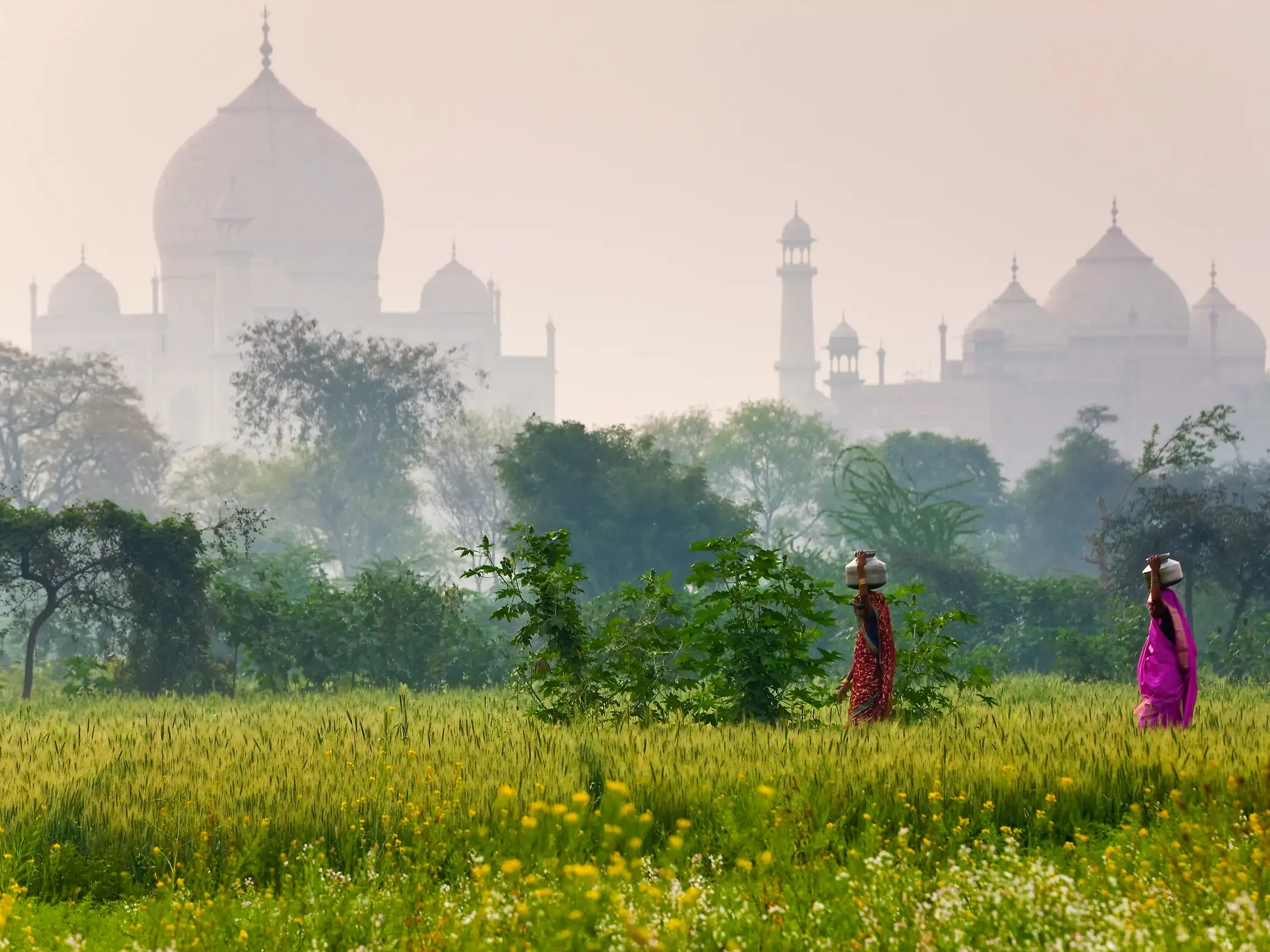 Zwei indische Personen in bunten Saris tragen Krüge auf der Schulter durch ein grünes Feld, während sich das Taj Mahal im nebligen Hintergrund erhebt.