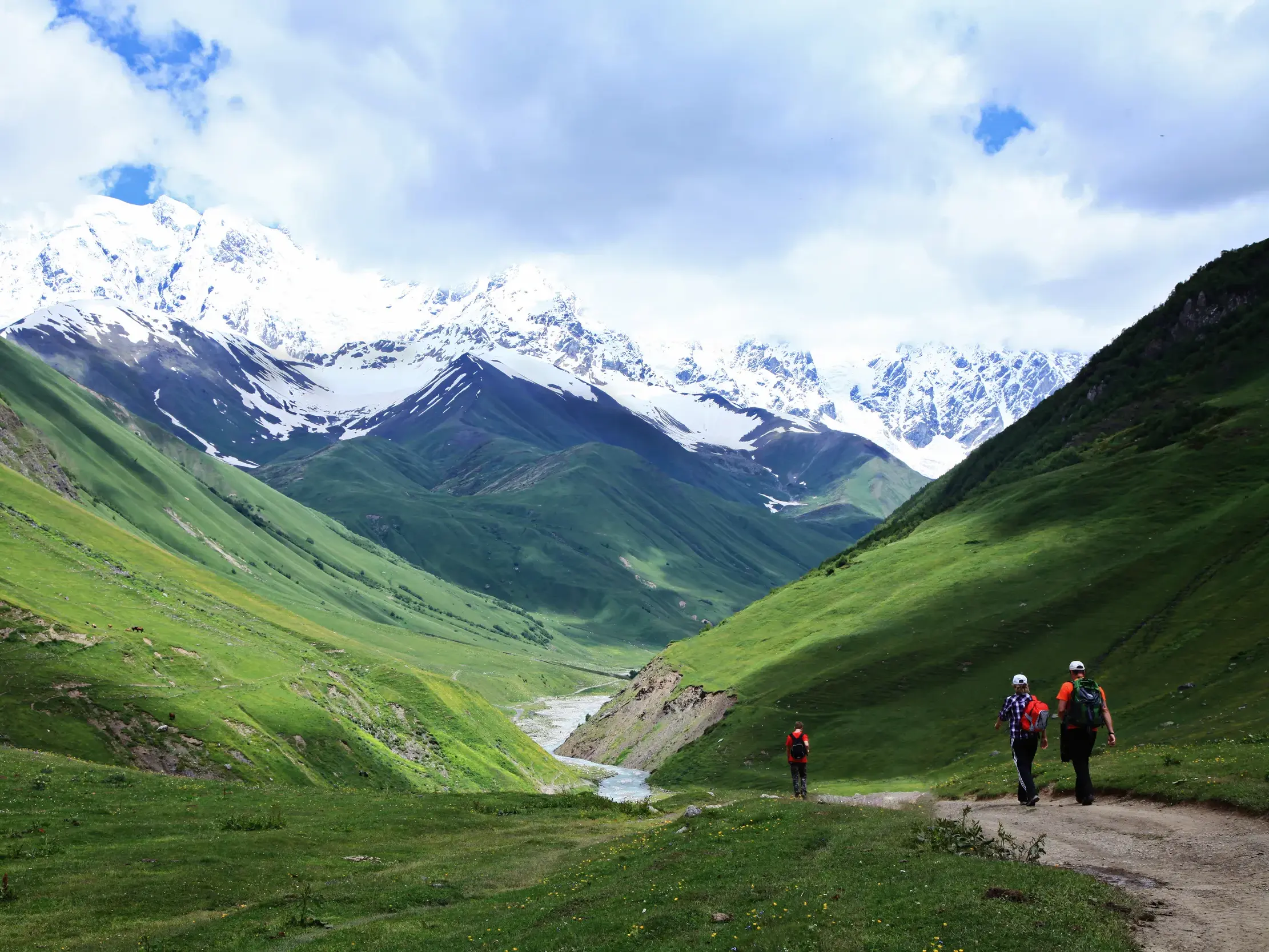 Eine kleine Wandergruppe beim Trekking in einem grünen Tal in Georgien mit Blick auf die schneebedeckten Gipfel des Kaukasus.