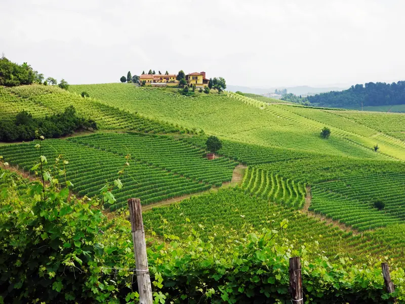 Blick beim Wandern über sanfte, mit Weinreben bewachsene Hügel im Barolo-Gebiet der Langhe mit einem Landgut auf der Kuppe.