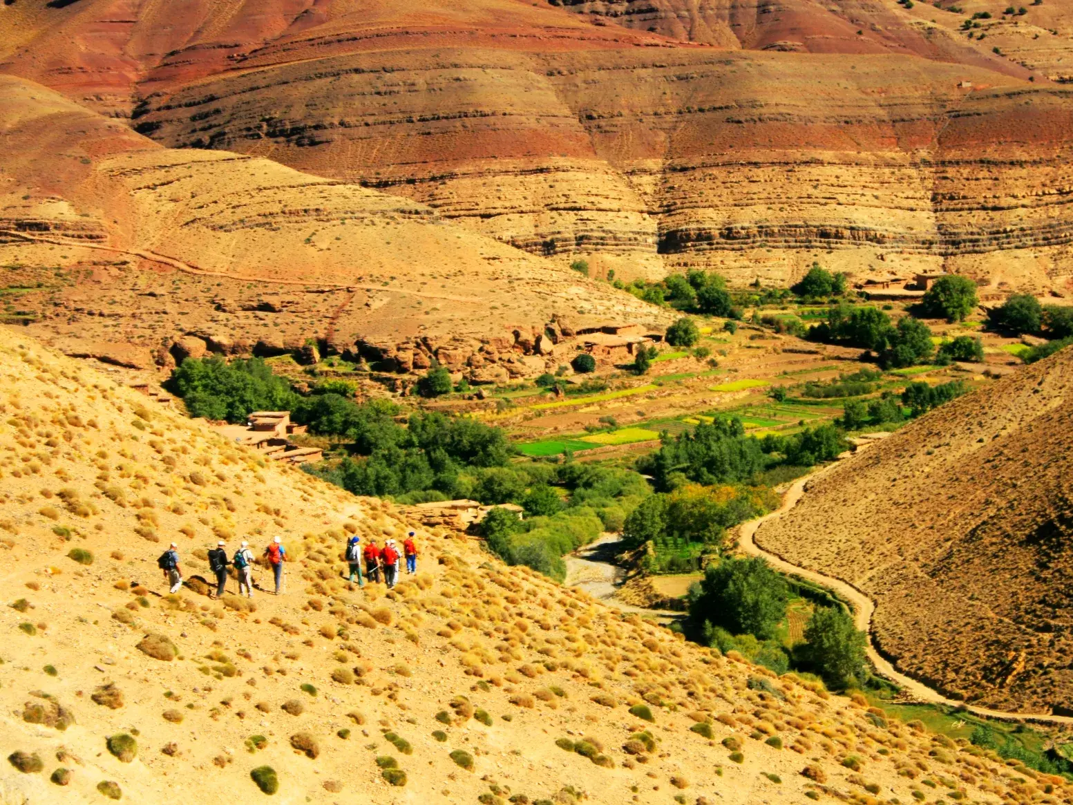 Eine Trekkinggruppe wandert im Hohen Atlas einen Hang hinab, mit Panoramablick auf ein grünes Tal und rote Felsformationen.