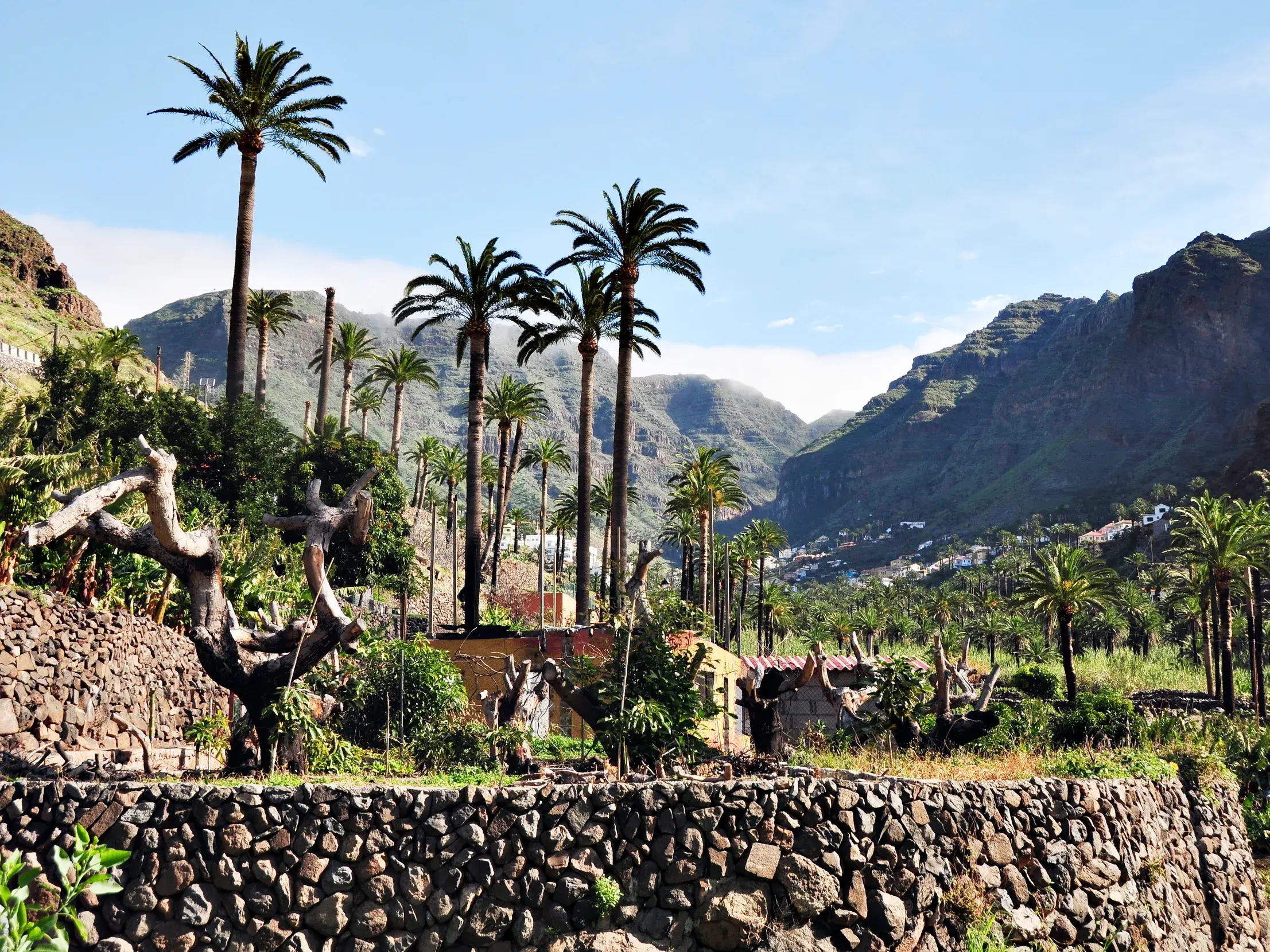 Sonniger Ausblick über eine Steinterrasse in das üppige, von Palmen gesäumte Valle Gran Rey auf der Kanareninsel La Gomera.