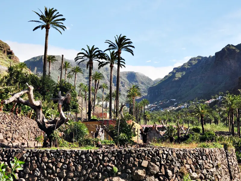 Sonniger Ausblick über eine Steinterrasse in das üppige, von Palmen gesäumte Valle Gran Rey auf der Kanareninsel La Gomera.