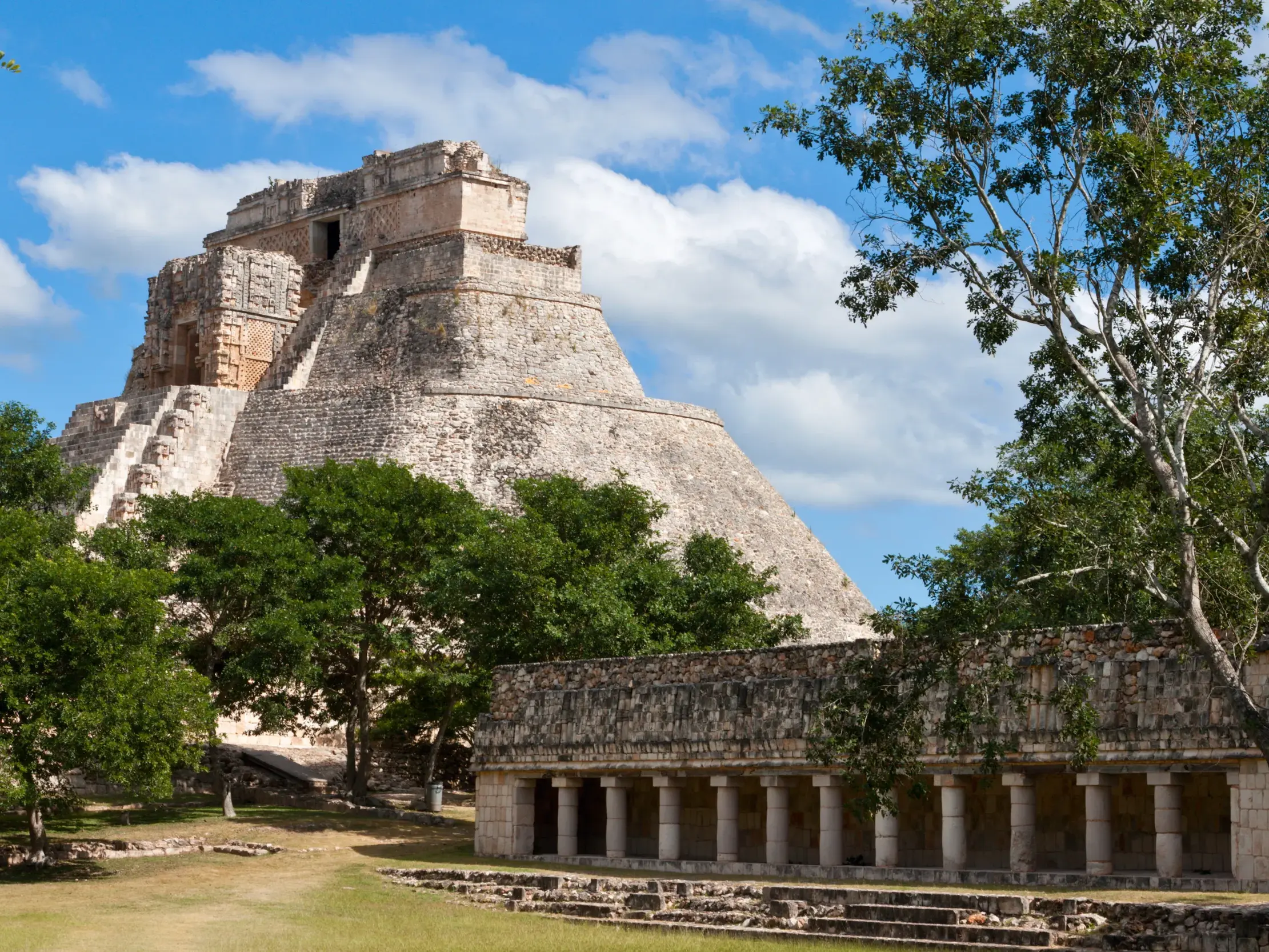 Die imposante Pyramide des Zauberers in der Maya-Stätte Uxmal, umgeben von grünen Bäumen unter blauem Himmel in Yucatán.