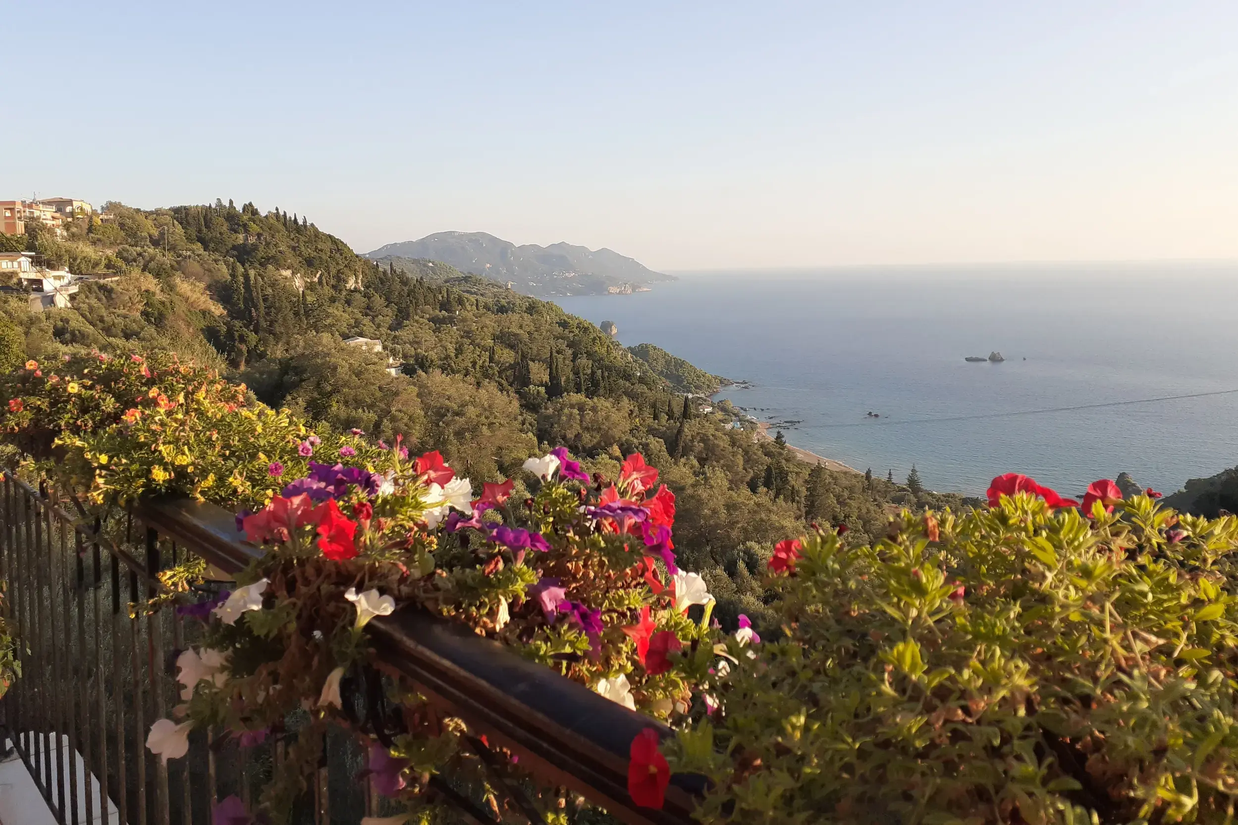 Ausblick von einer Terrasse mit bunten Blumen auf die bewaldete Küstenlandschaft und das Ionische Meer auf Korfu.