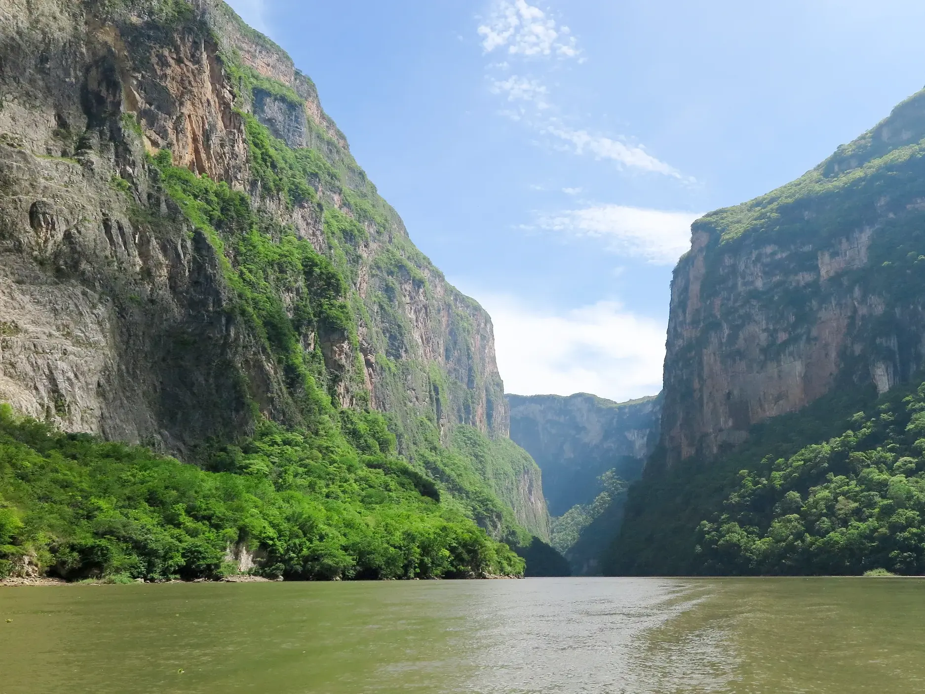 Blick vom Boot auf die majestätischen, grün bewachsenen Felswände des Cañón del Sumidero in Chiapas, Mexiko.