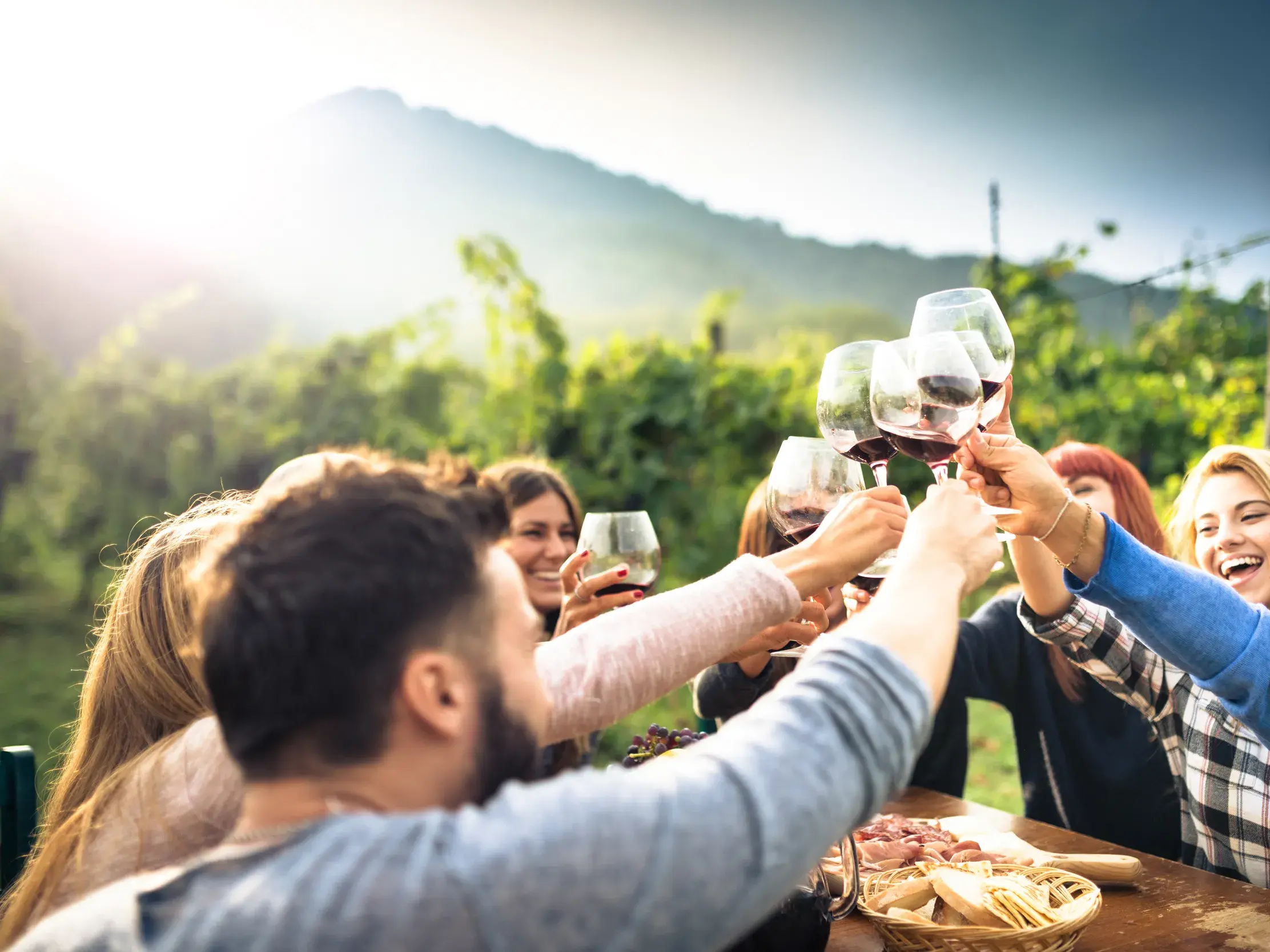 Eine kleine Reisegruppe stößt fröhlich mit Rotwein bei einer Weinprobe in den sonnigen Weinbergen des Piemonts an.