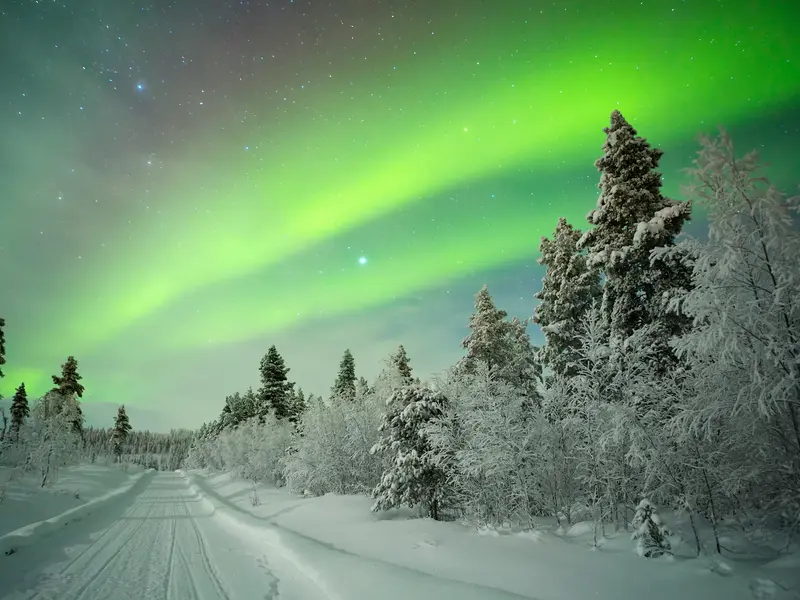 Grüne Nordlichter am Sternenhimmel über verschneiten Nadelbäumen und einem Winterweg in Lappland
