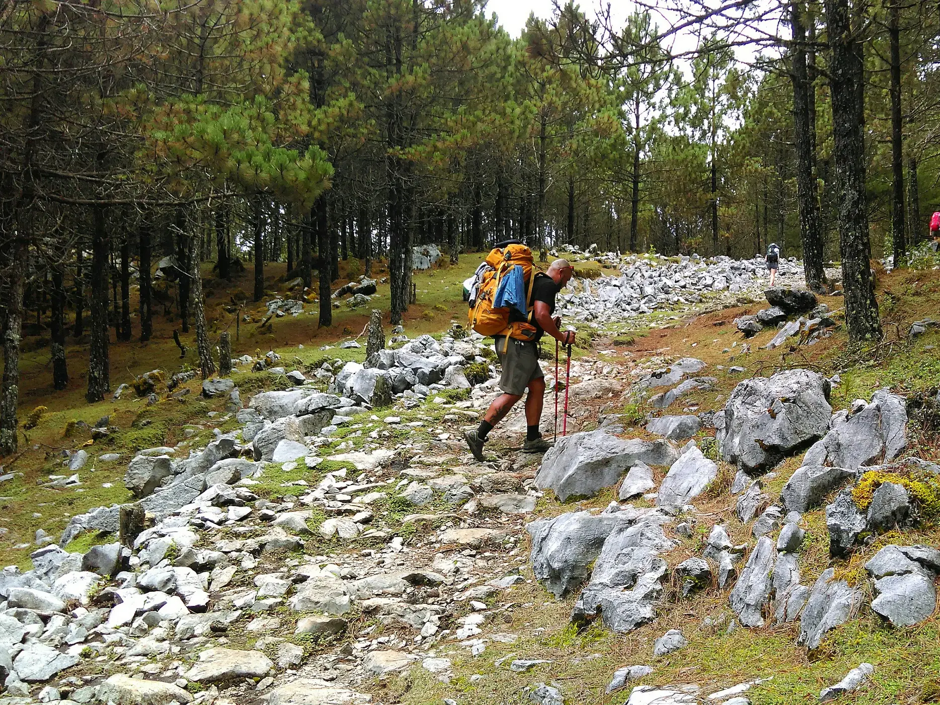 Eine Gruppe von Wanderern mit Trekkingrucksäcken steigt einen steinigen Pfad im Cuchumatanes-Gebirge in Guatemala hinauf.