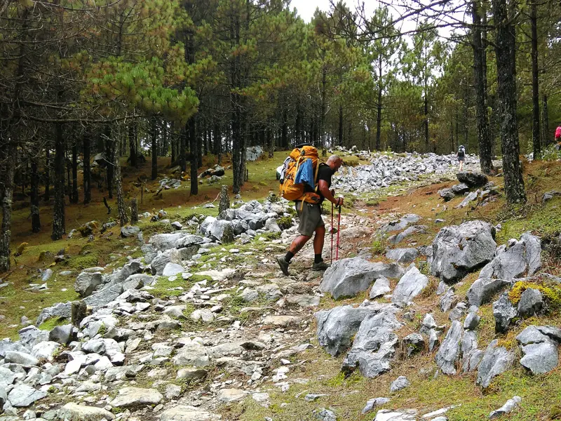 Eine Gruppe von Wanderern mit Trekkingrucksäcken steigt einen steinigen Pfad im Cuchumatanes-Gebirge in Guatemala hinauf.