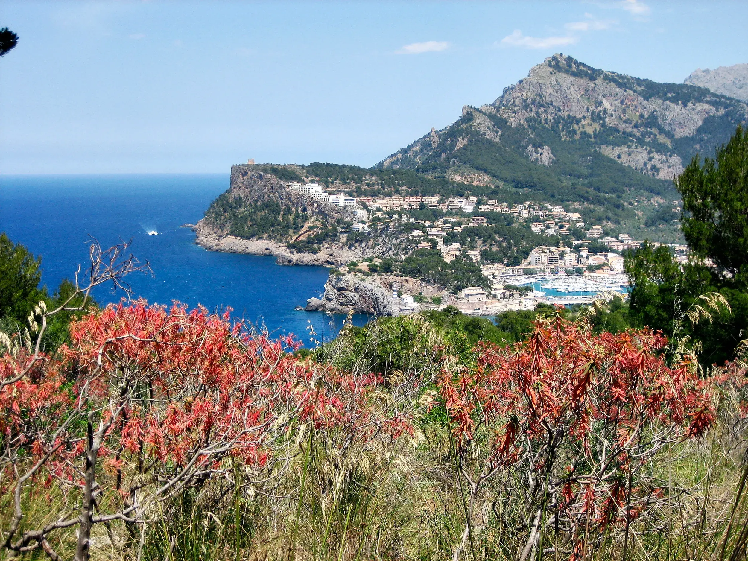 Blick von einem Wanderweg über rote Blumen auf die Bucht von Puerto de Sóller und das Tramuntana-Gebirge auf Mallorca.