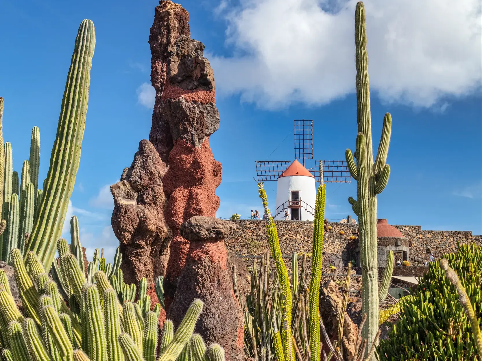 Zahlreiche grüne Kakteenarten auf schwarzer Vulkanerde im Jardín de Cactus, dem Kunstwerk von César Manrique auf Lanzarote.