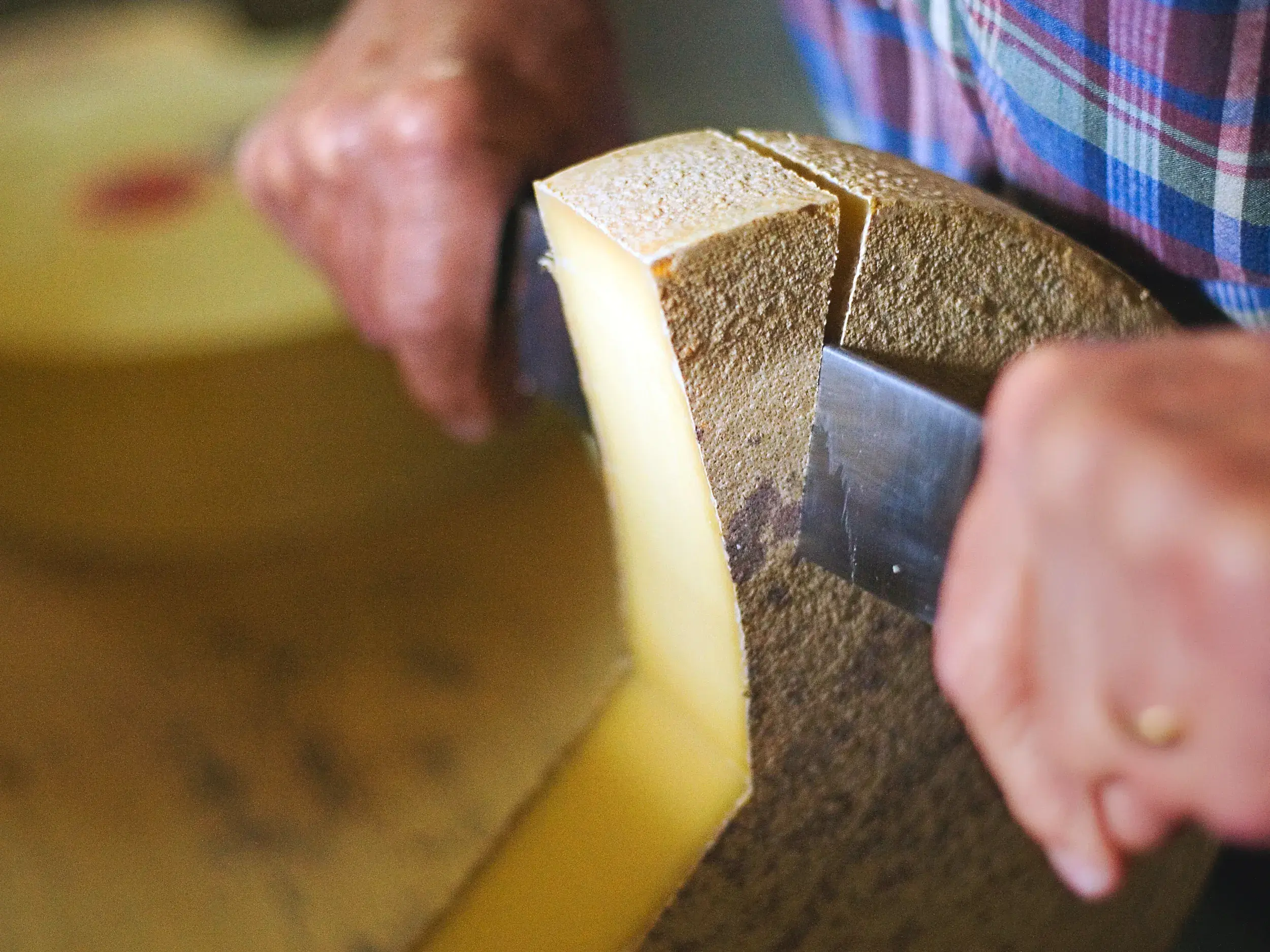 Nahaufnahme von Händen, die mit einem Messer ein Stück von einem großen Laib Schweizer Käse für ein Käsefondue abschneiden.