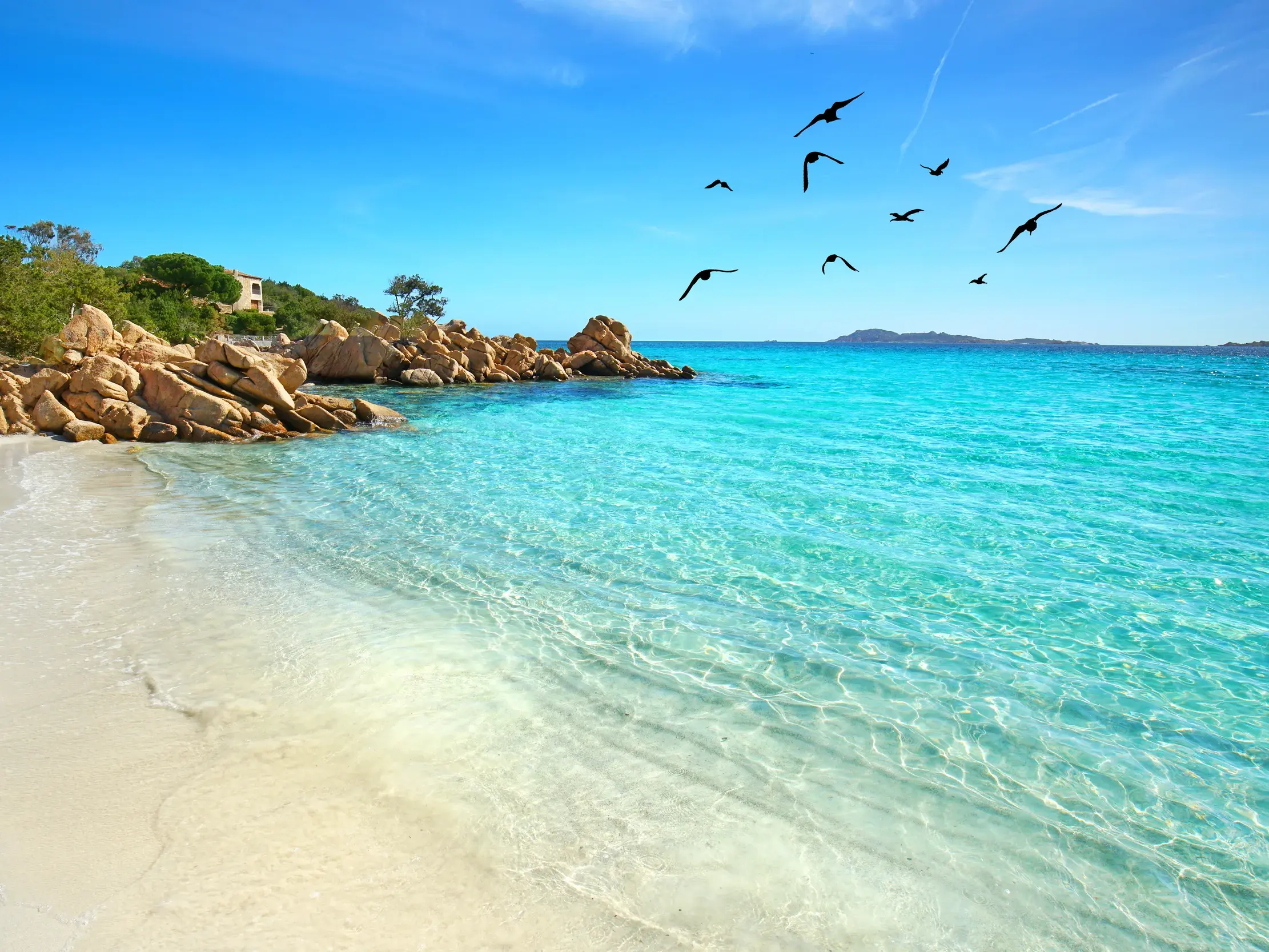 Ein idyllischer Sandstrand auf Sardinien mit glasklarem, türkisfarbenem Wasser, Felsen und Vögeln am strahlend blauen Himmel.