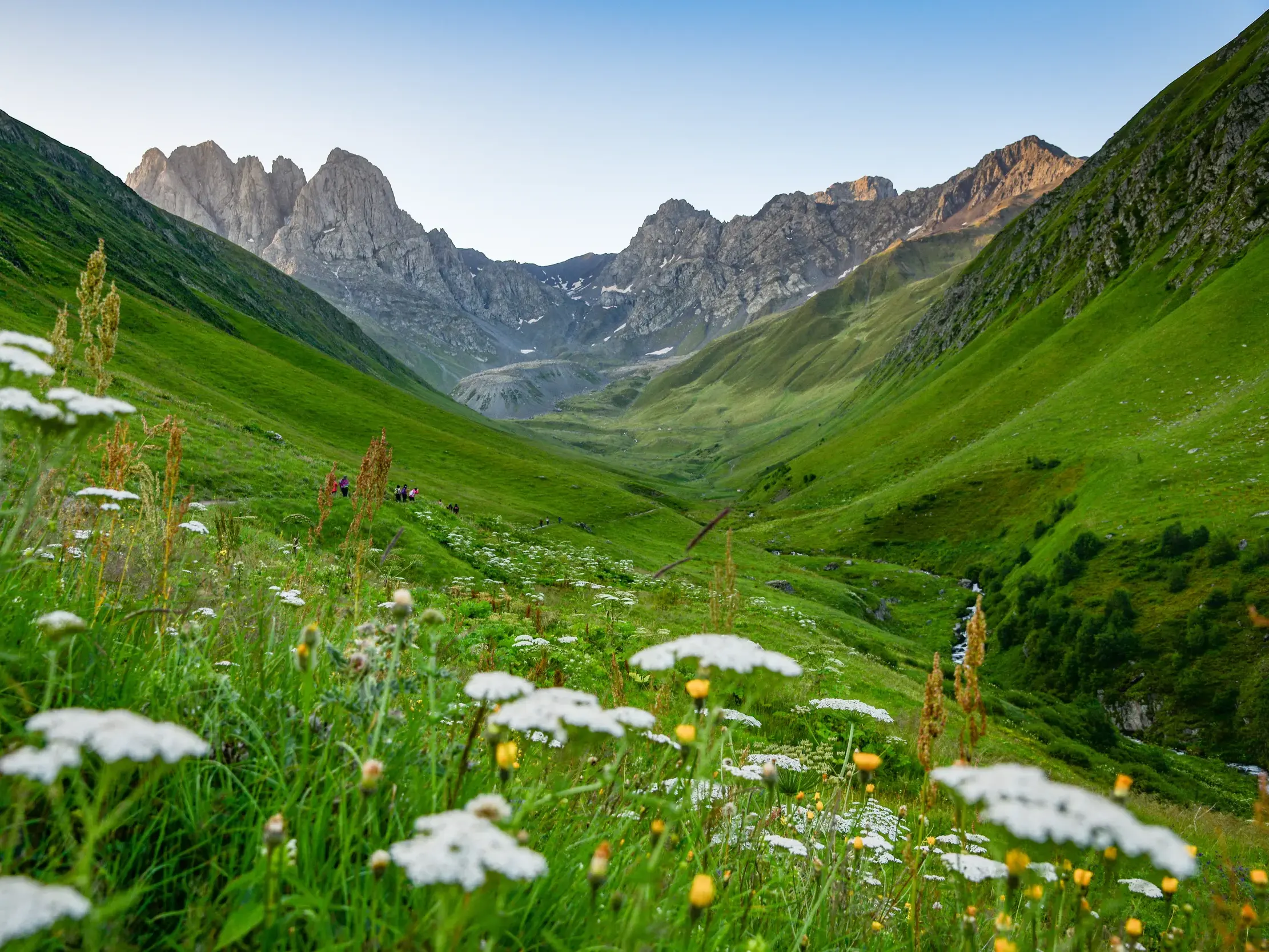 Eine kleine Wandergruppe in einem weiten, grünen Tal mit Wildblumen vor den schroffen Gipfeln des Chaukhi-Massivs in Georgien.