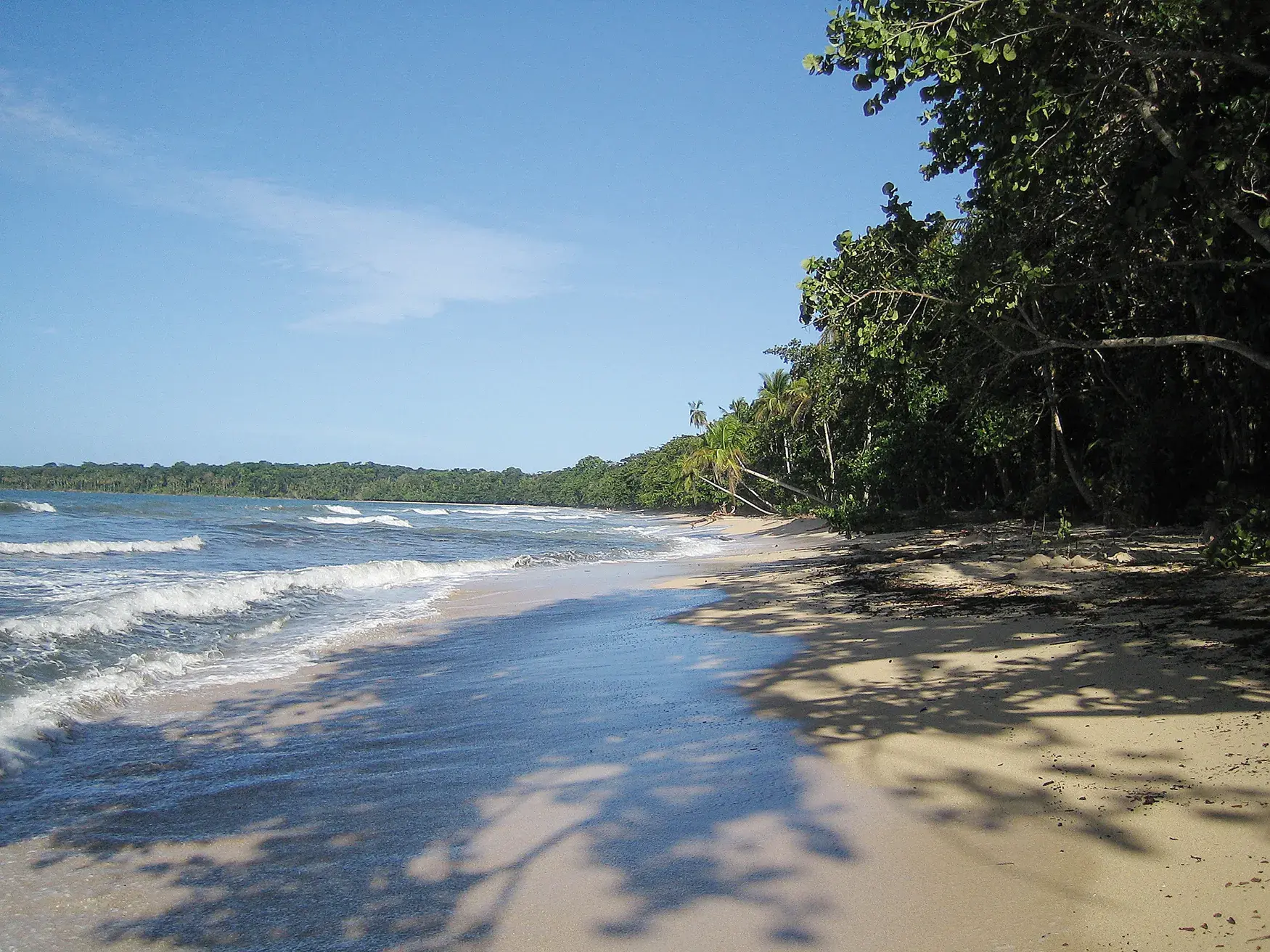 Unberührter Sandstrand auf der Halbinsel Nicoya, gesäumt von tropischem Regenwald und dem blauen Pazifik in Costa Rica.